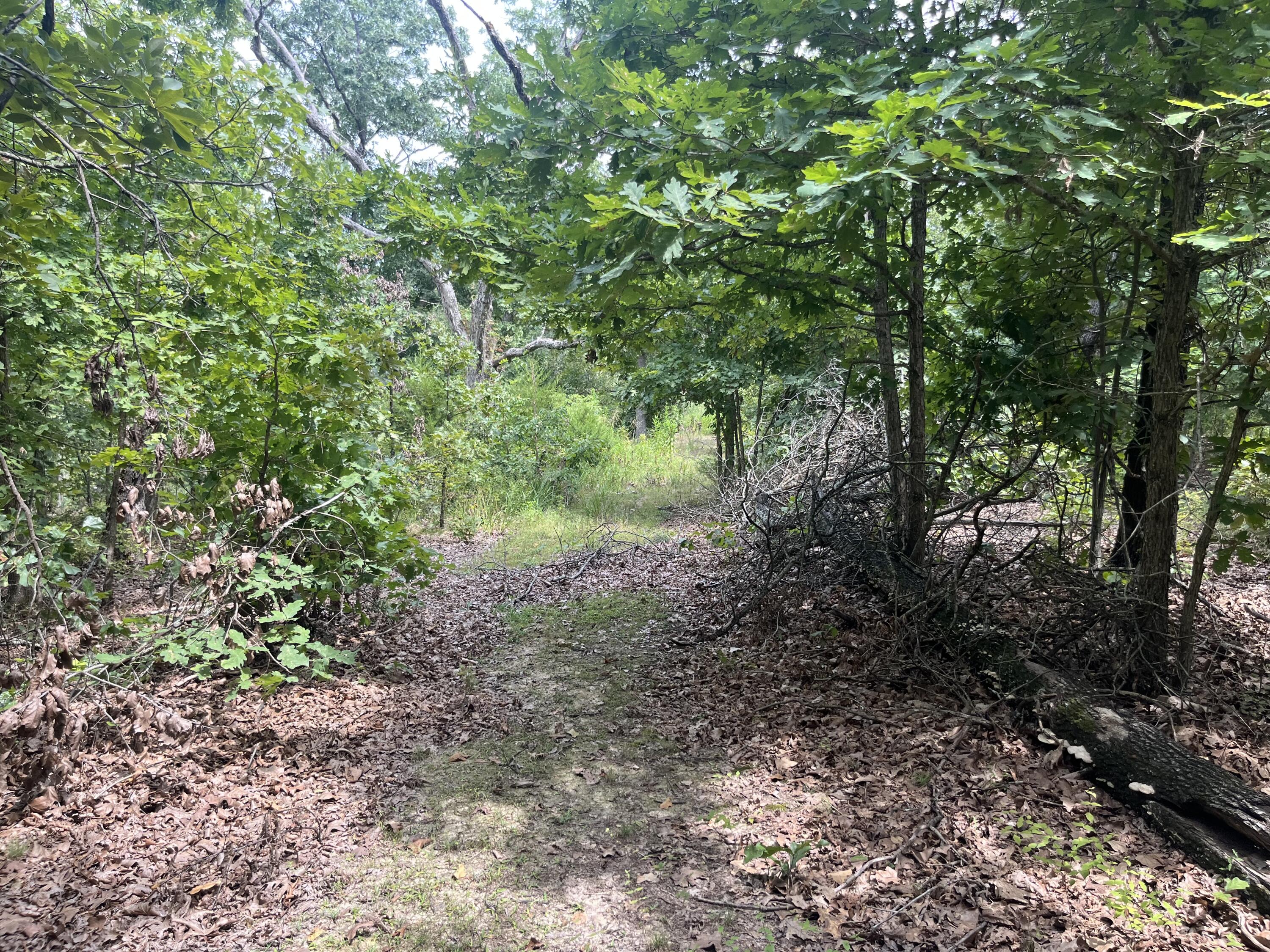Photo 28 - Land for sale – 1  Partridge Drive  Climax Springs, MO