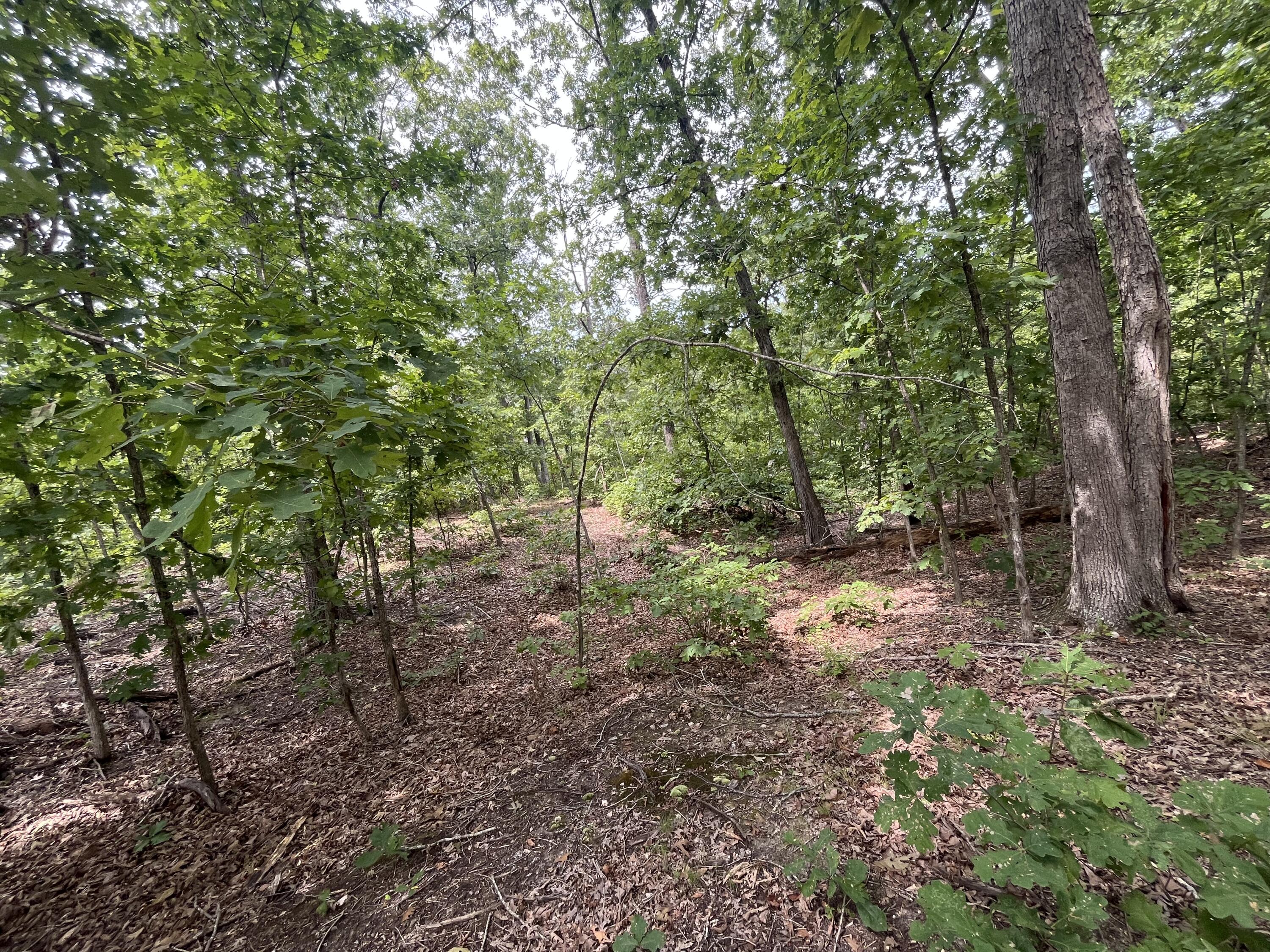 Land for sale – 1  Partridge Drive  Climax Springs, MO