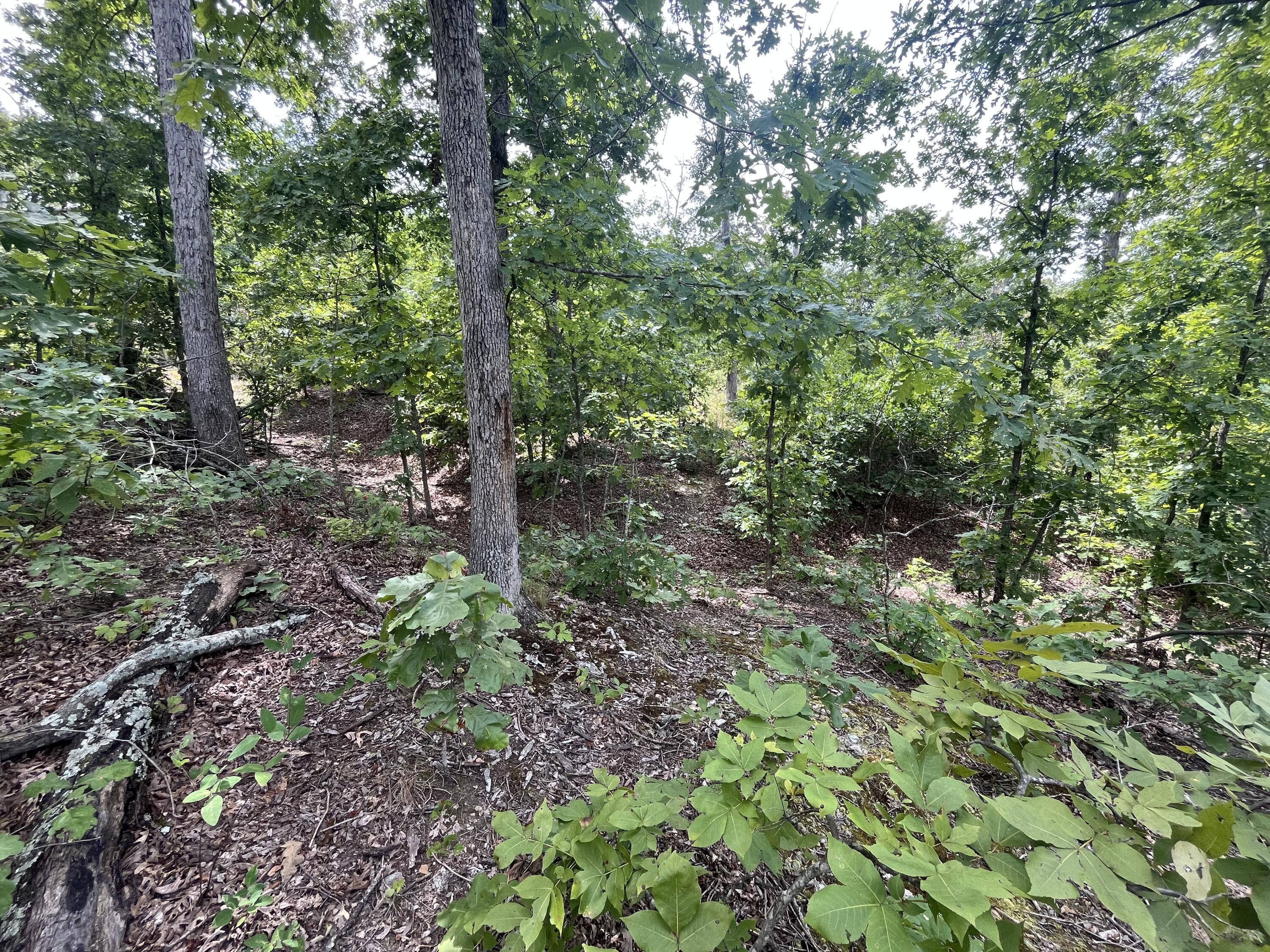 Photo 21 - Land for sale – 1  Partridge Drive  Climax Springs, MO