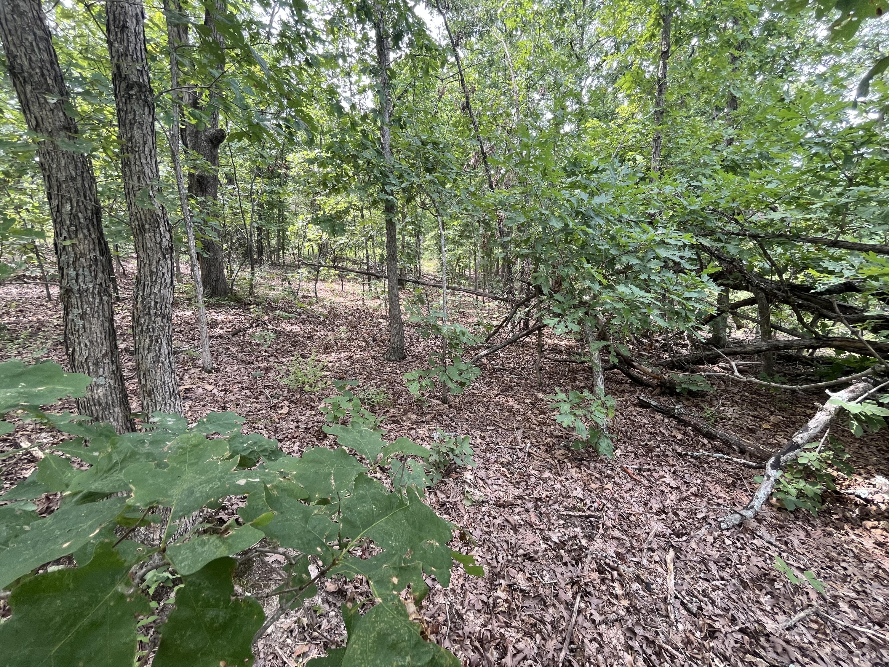 Photo 22 - Land for sale – 1  Partridge Drive  Climax Springs, MO