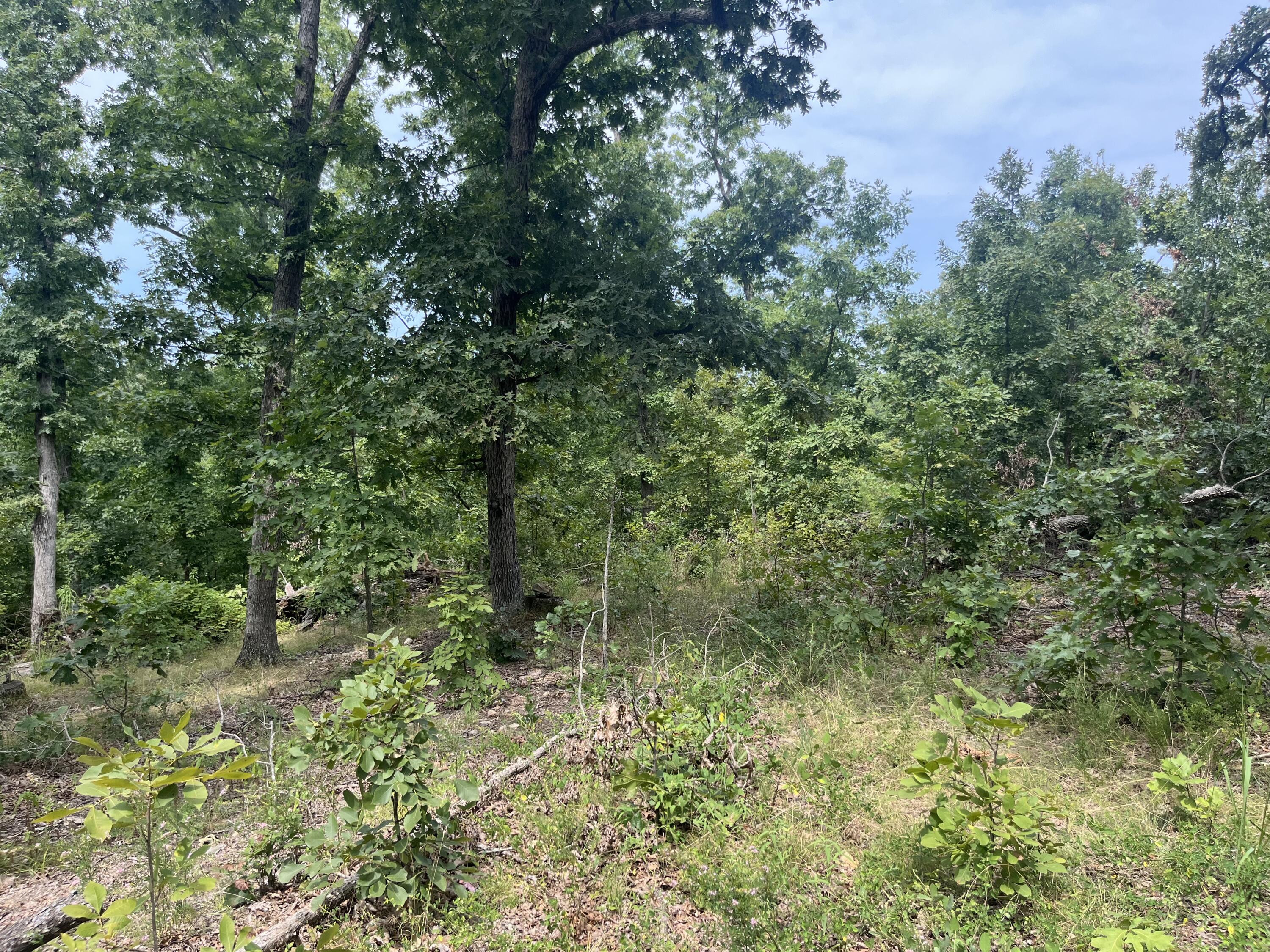 Photo 2 - Land for sale – 1  Partridge Drive  Climax Springs, MO