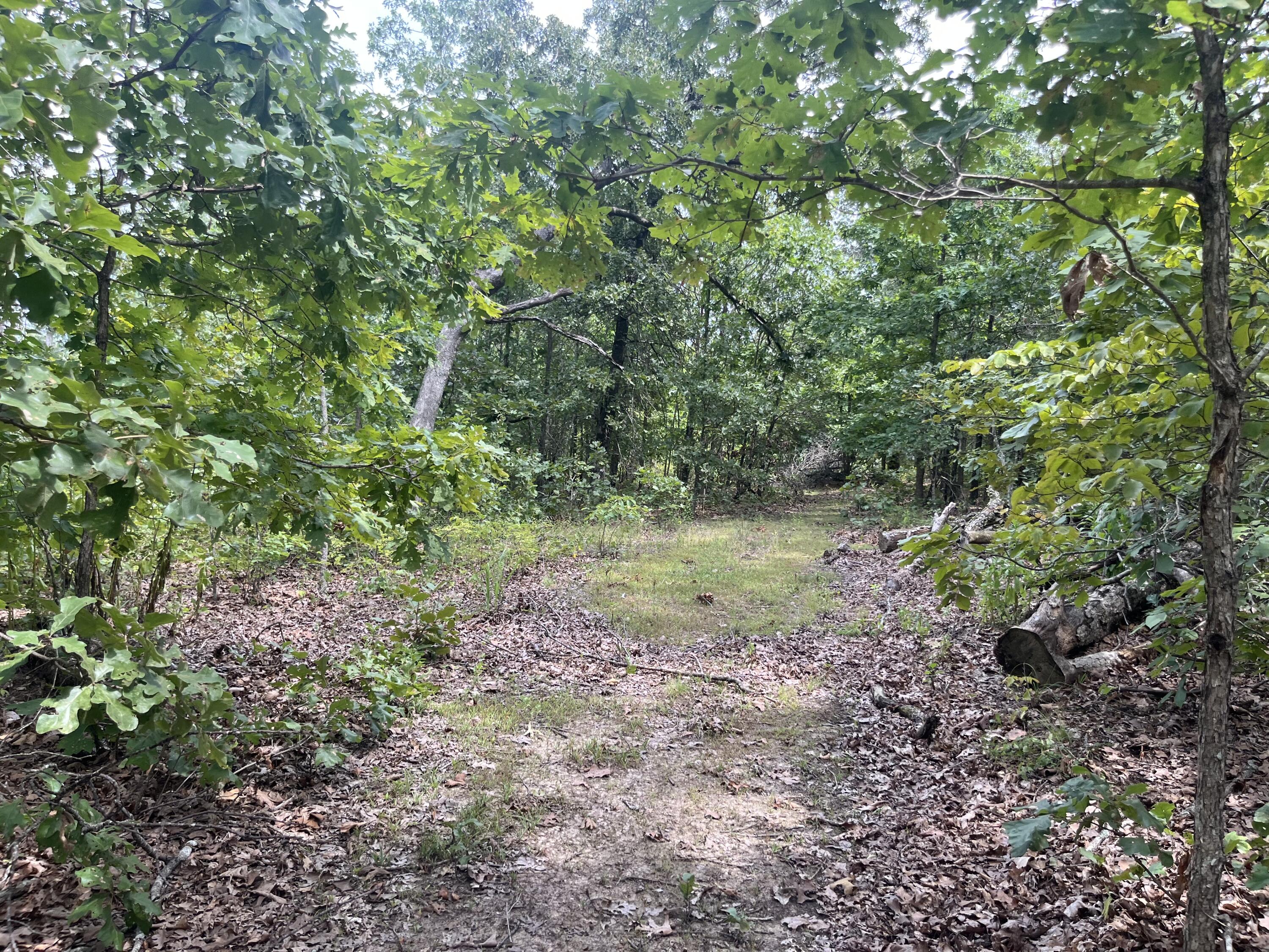 Photo 27 - Land for sale – 1  Partridge Drive  Climax Springs, MO