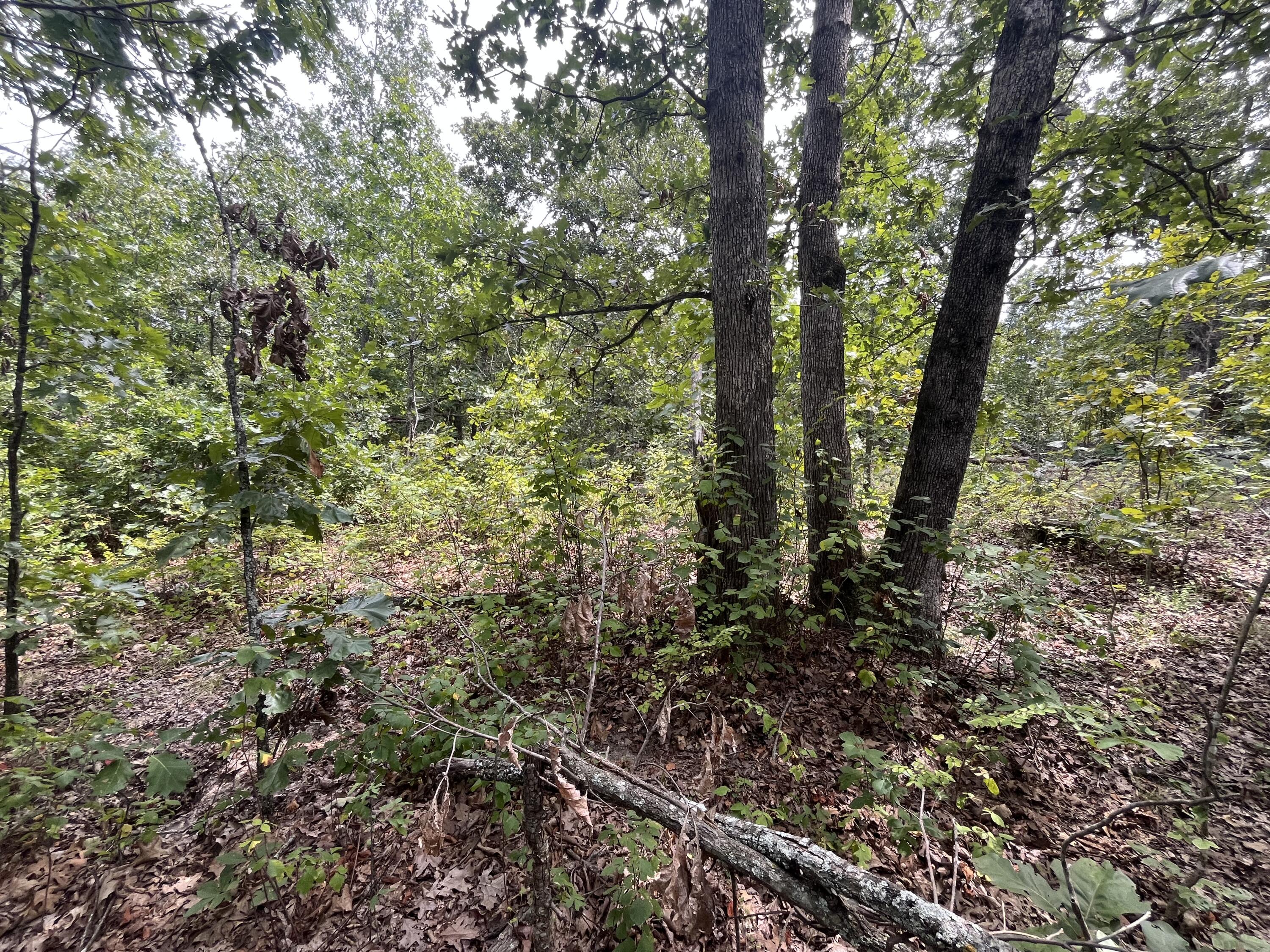 Photo 23 - Land for sale – 1  Partridge Drive  Climax Springs, MO