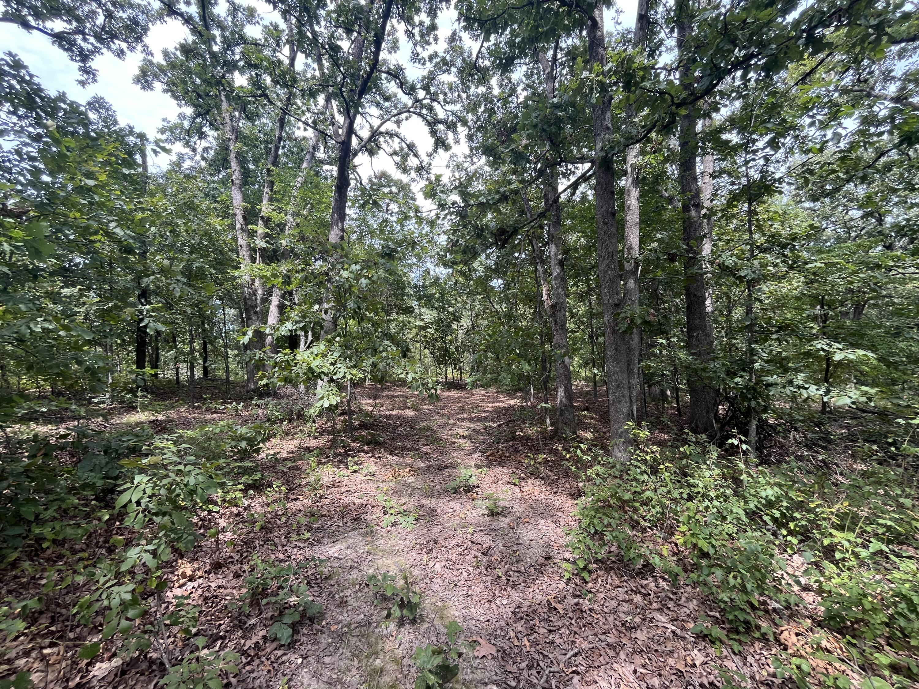 Photo 8 - Land for sale – 1  Partridge Drive  Climax Springs, MO
