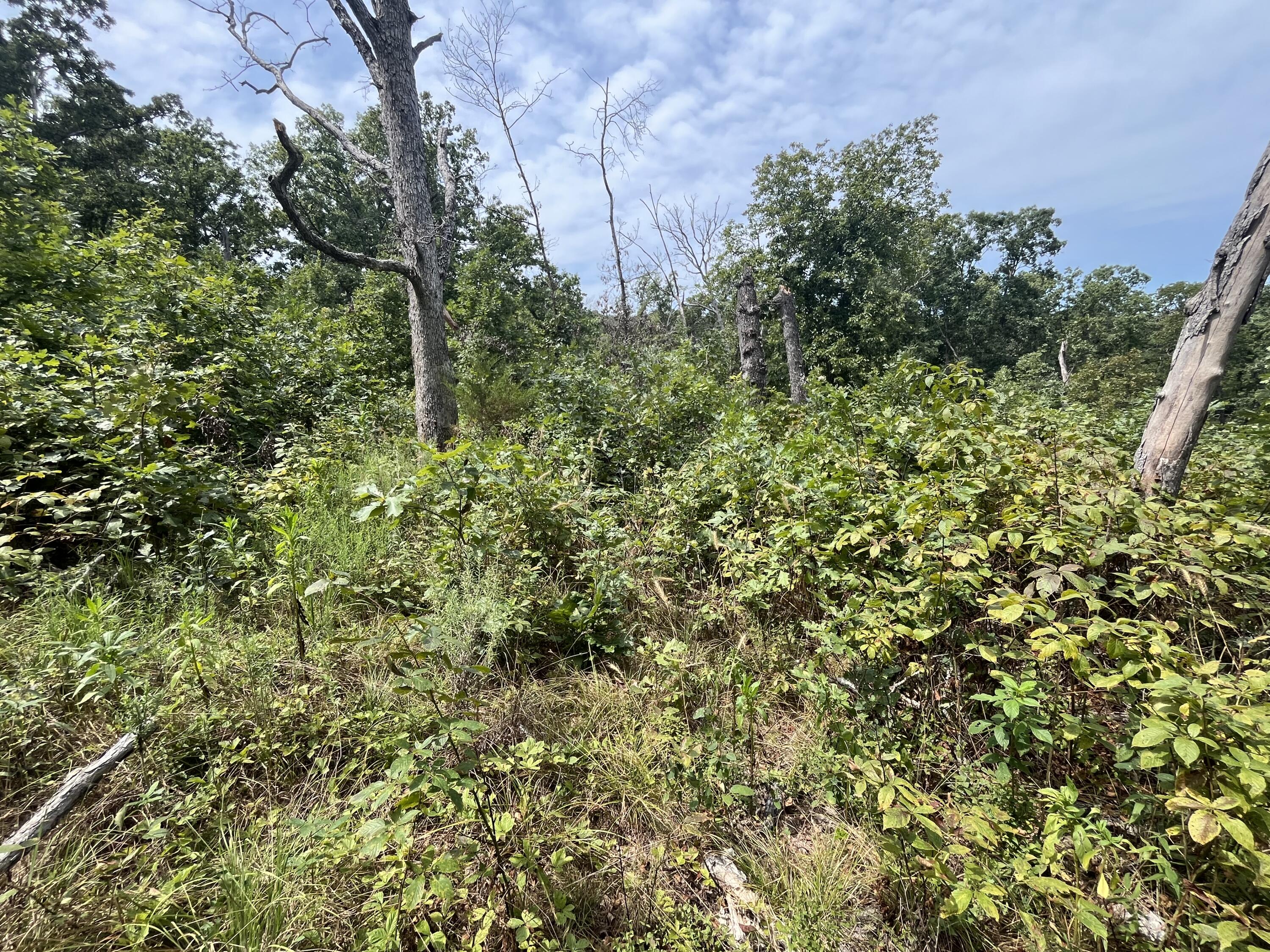 Photo 9 - Land for sale – 1  Partridge Drive  Climax Springs, MO