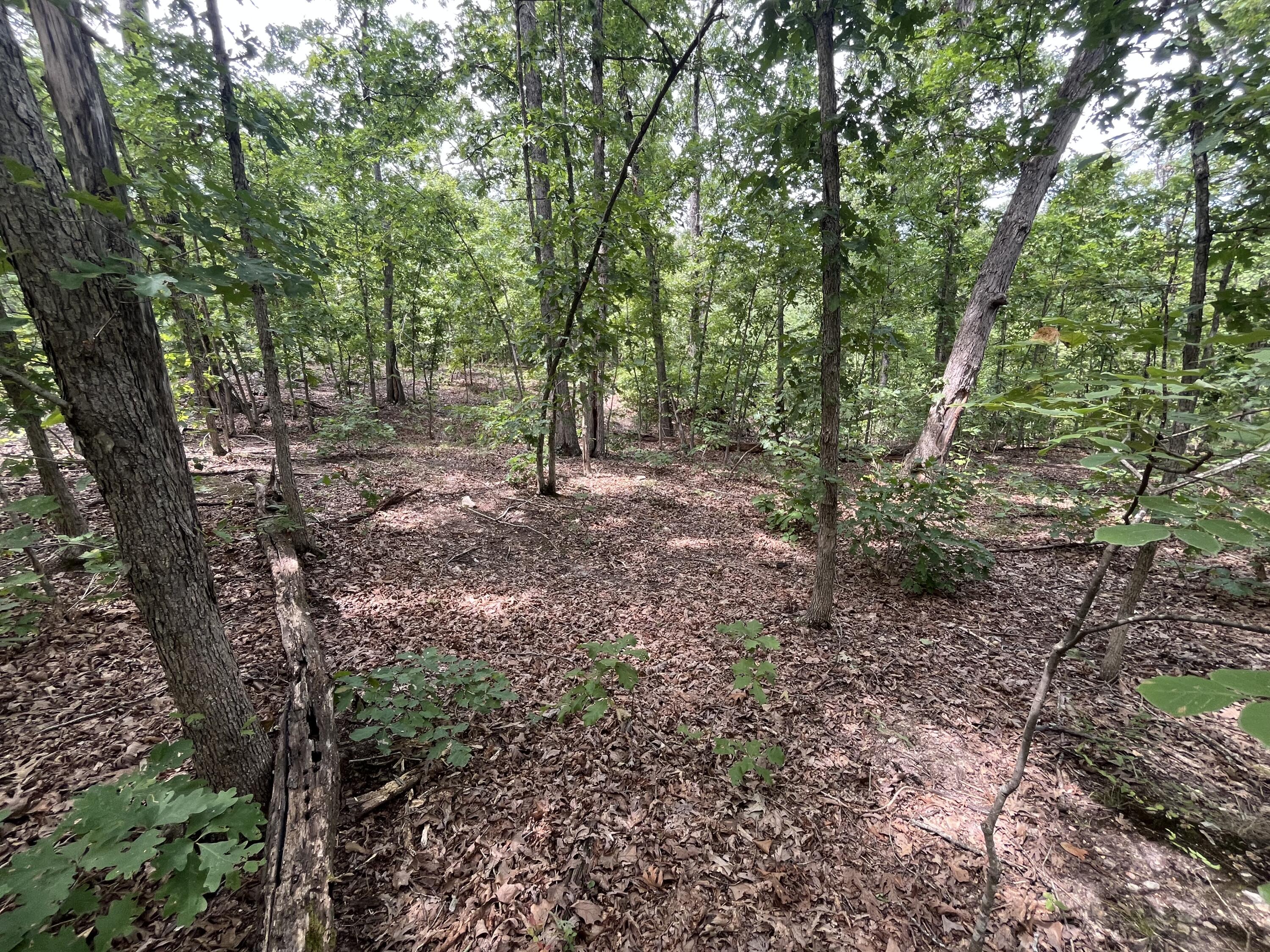 Photo 30 - Land for sale – 1  Partridge Drive  Climax Springs, MO