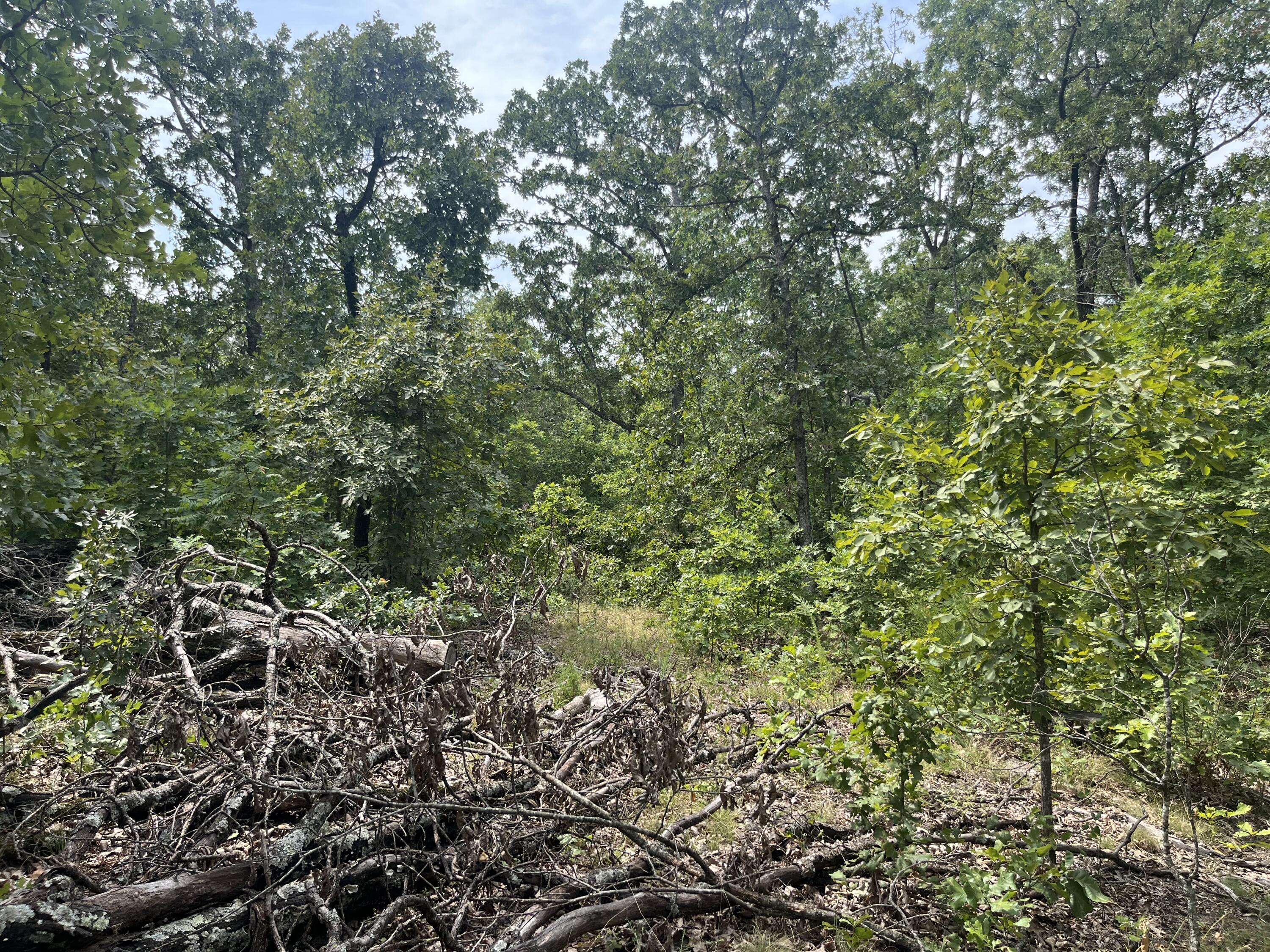 Photo 26 - Land for sale – 1  Partridge Drive  Climax Springs, MO