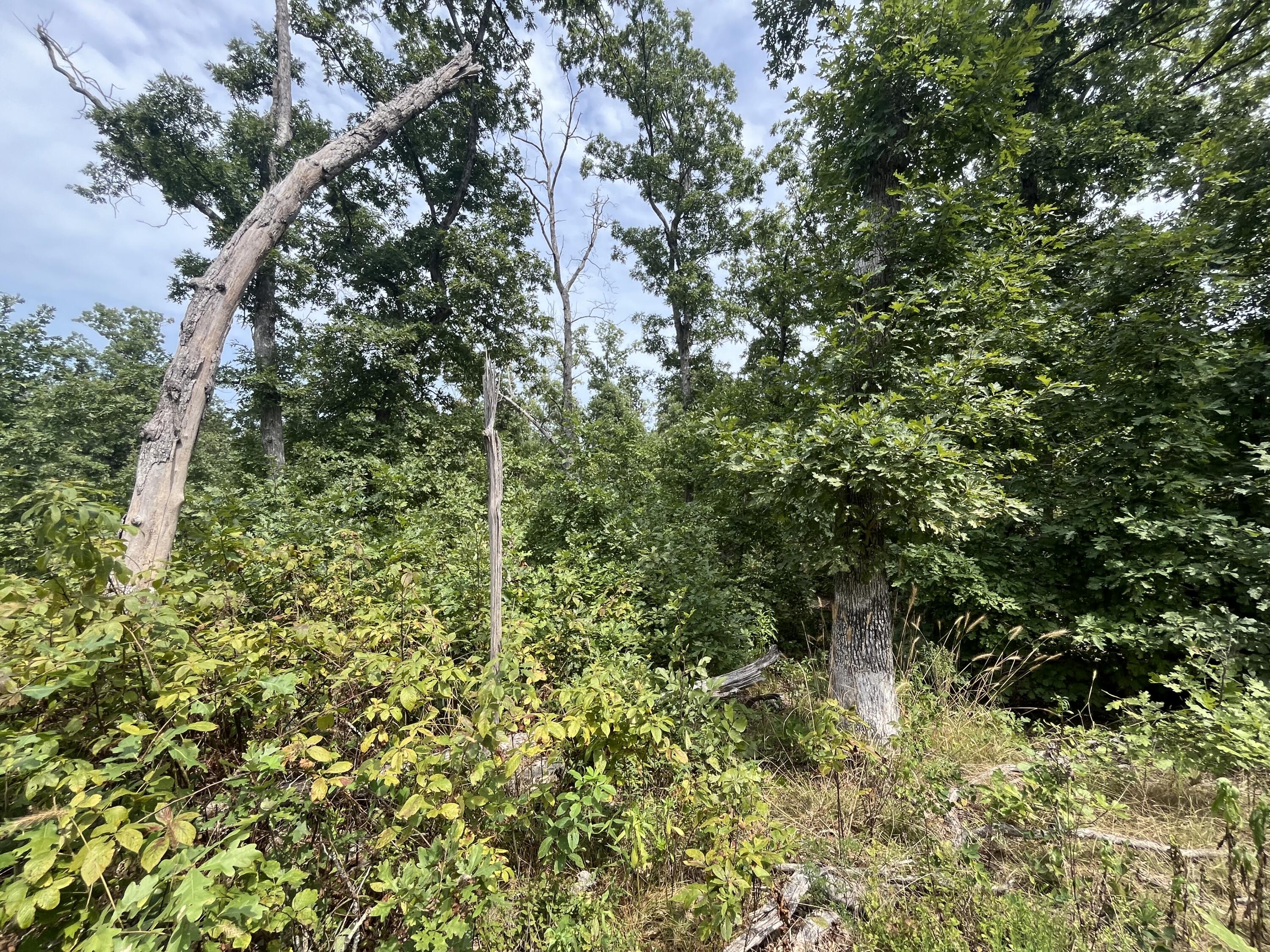 Photo 10 - Land for sale – 1  Partridge Drive  Climax Springs, MO