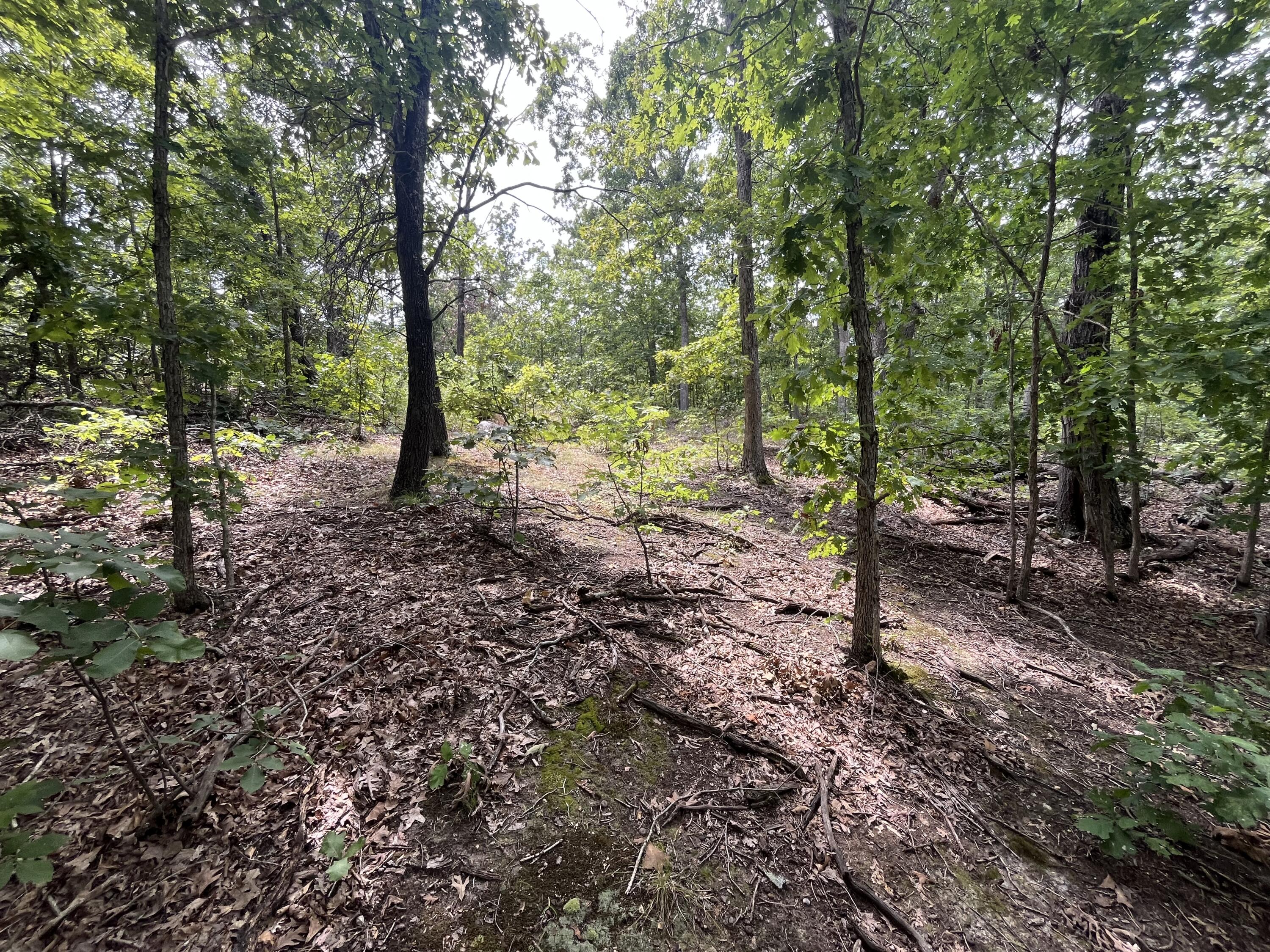 Photo 14 - Land for sale – 1  Partridge Drive  Climax Springs, MO