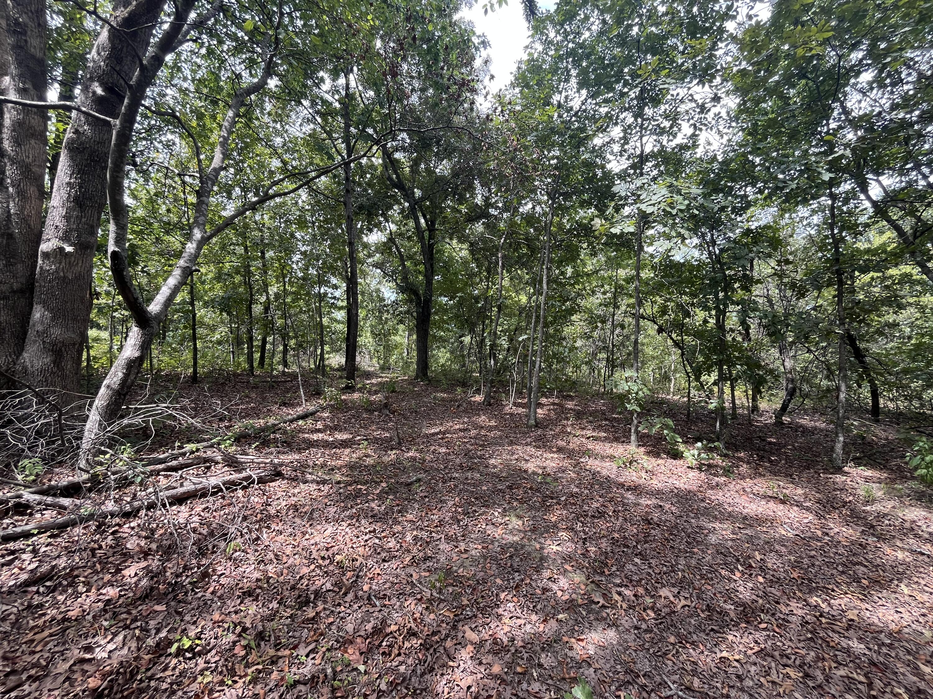 Photo 16 - Land for sale – 1  Partridge Drive  Climax Springs, MO