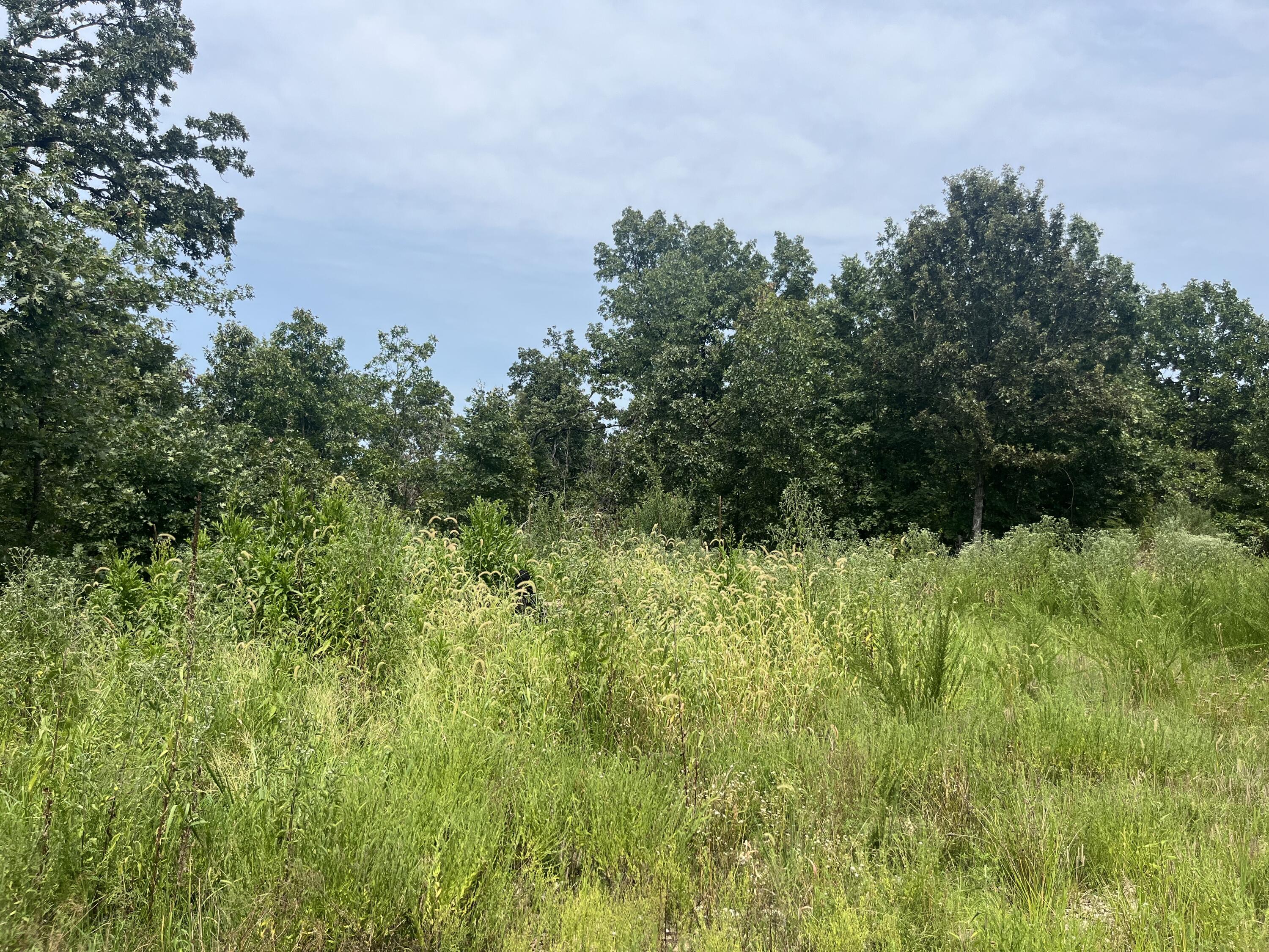 Photo 7 - Land for sale – 1  Partridge Drive  Climax Springs, MO
