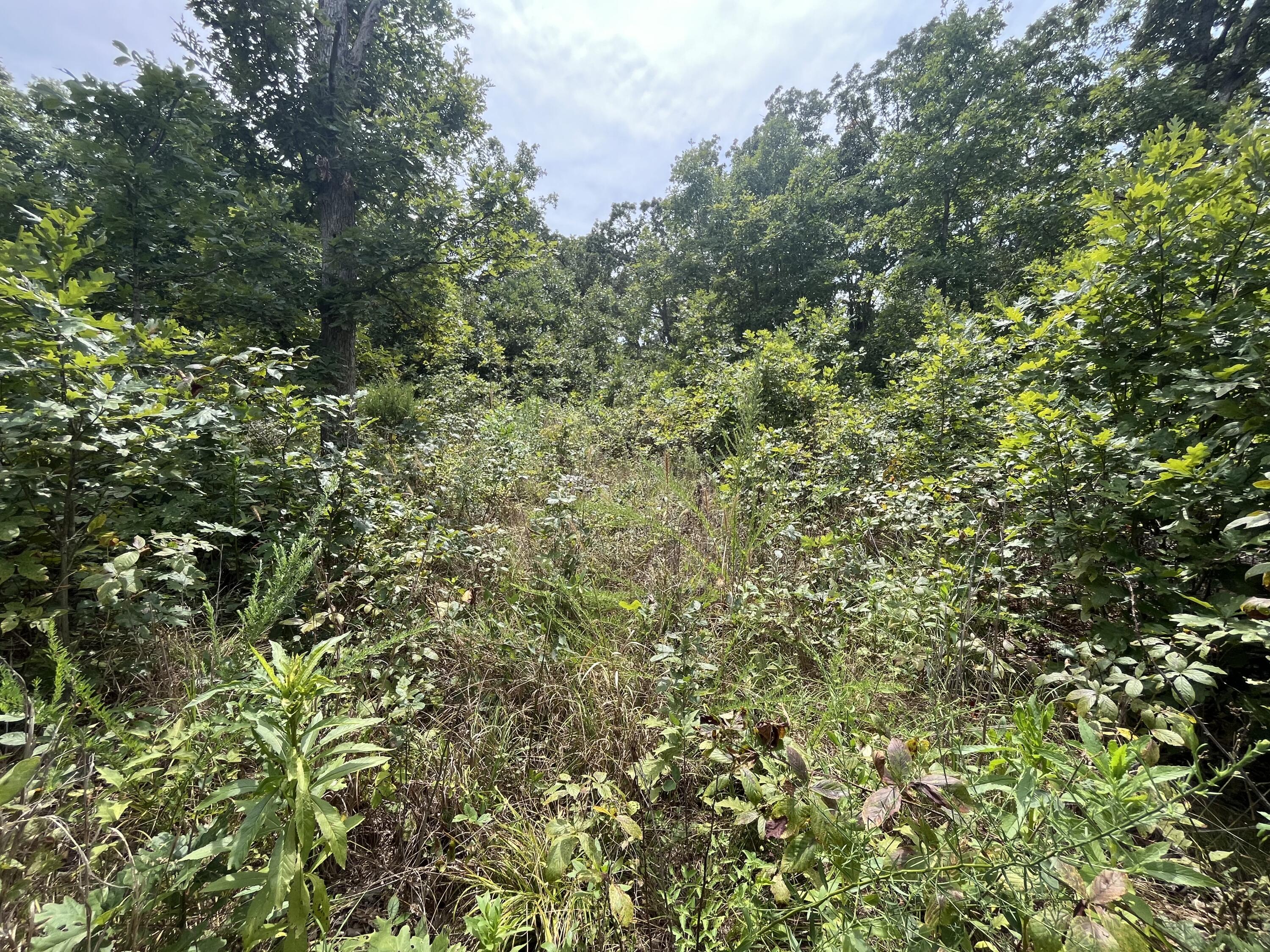 Photo 12 - Land for sale – 1  Partridge Drive  Climax Springs, MO