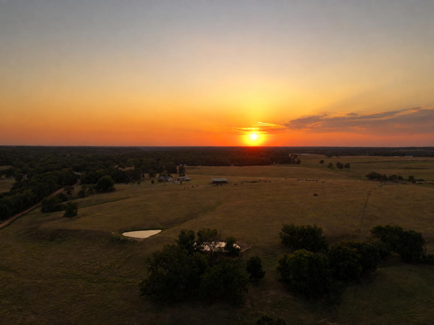 Photo 2 - Land for sale – 20ac  Patterson Creek Road  Anderson, MO