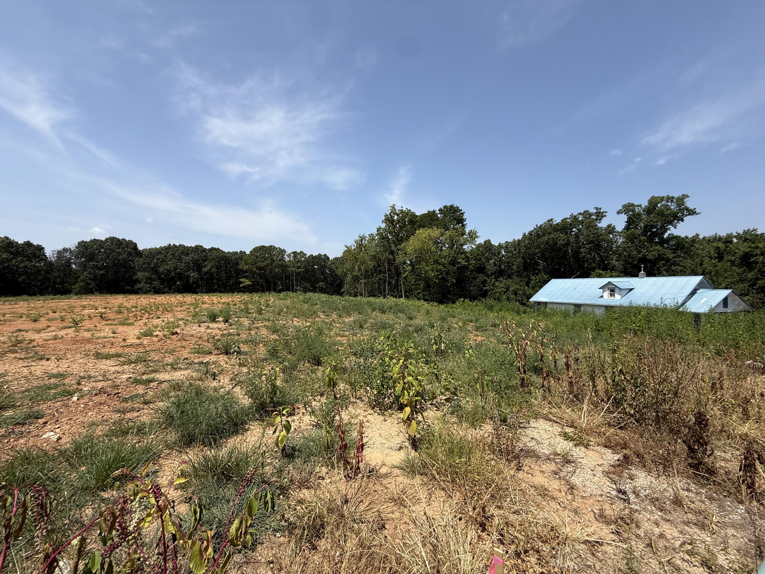 Photo 2 - Land for sale – Lot 1  Little Street  Seligman, MO