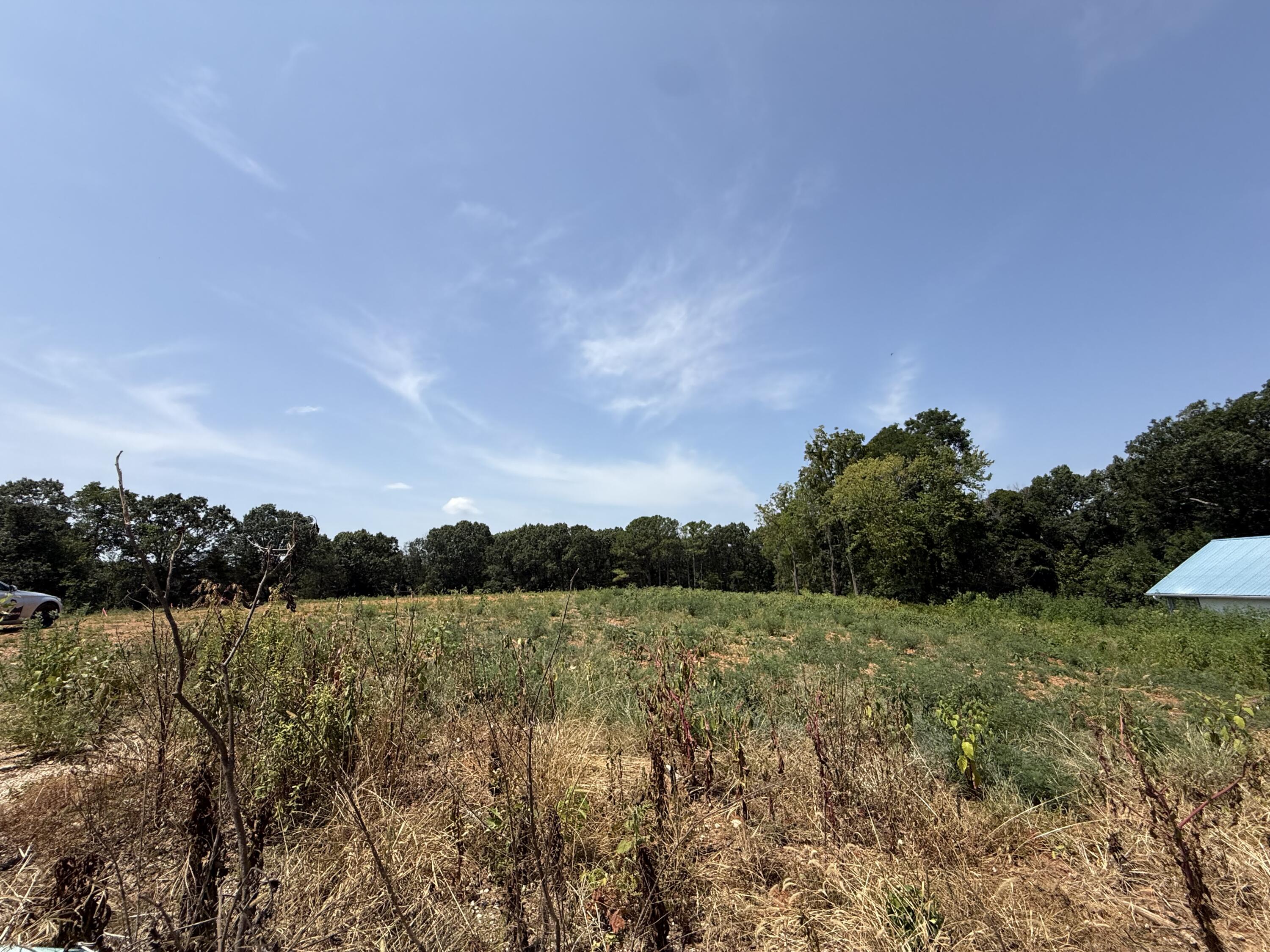 Photo 5 - Land for sale – Lot 1  Little Street  Seligman, MO