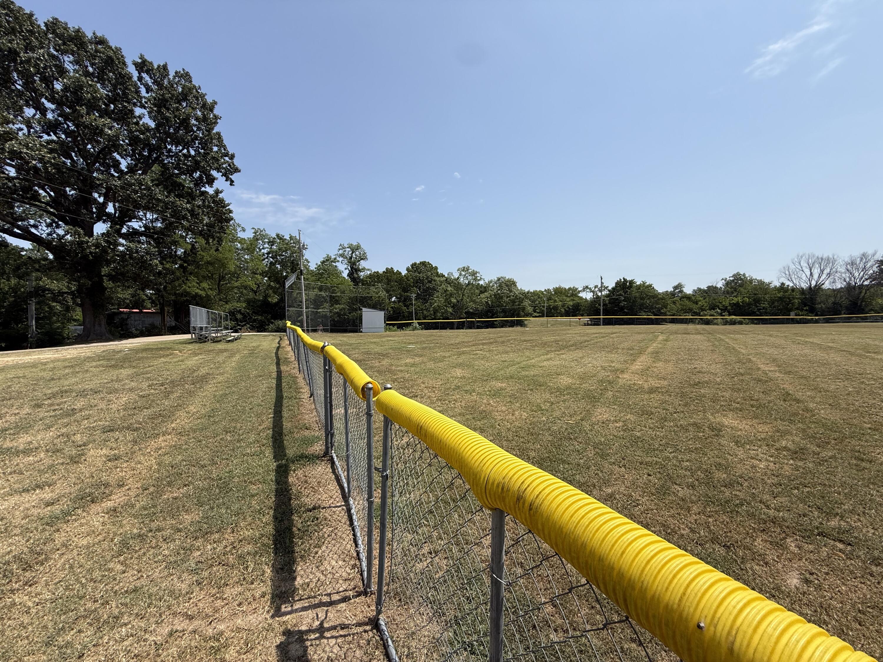 Photo 6 - Land for sale – Lot 1  Little Street  Seligman, MO