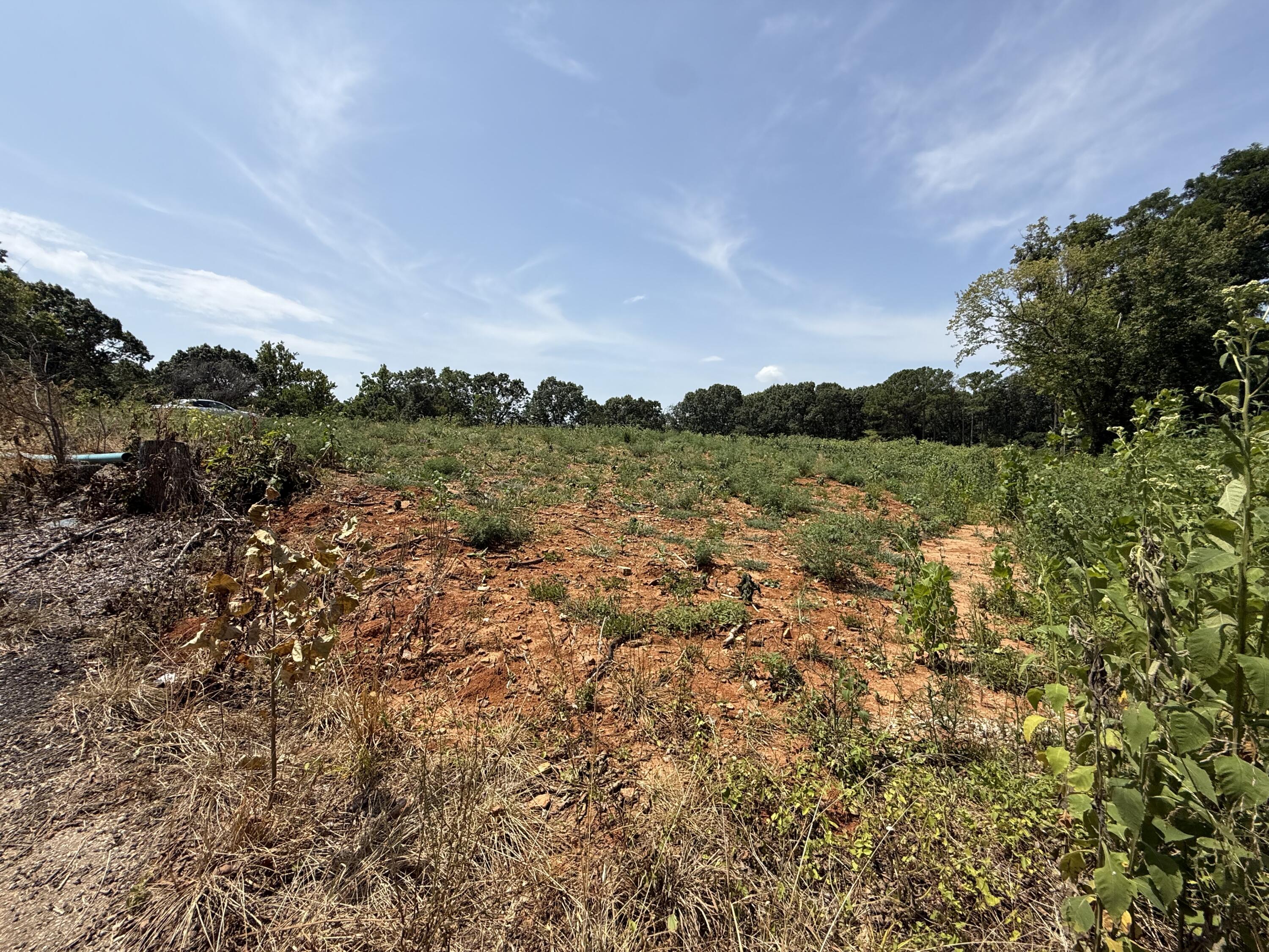 Photo 4 - Land for sale – Lot 1  Little Street  Seligman, MO