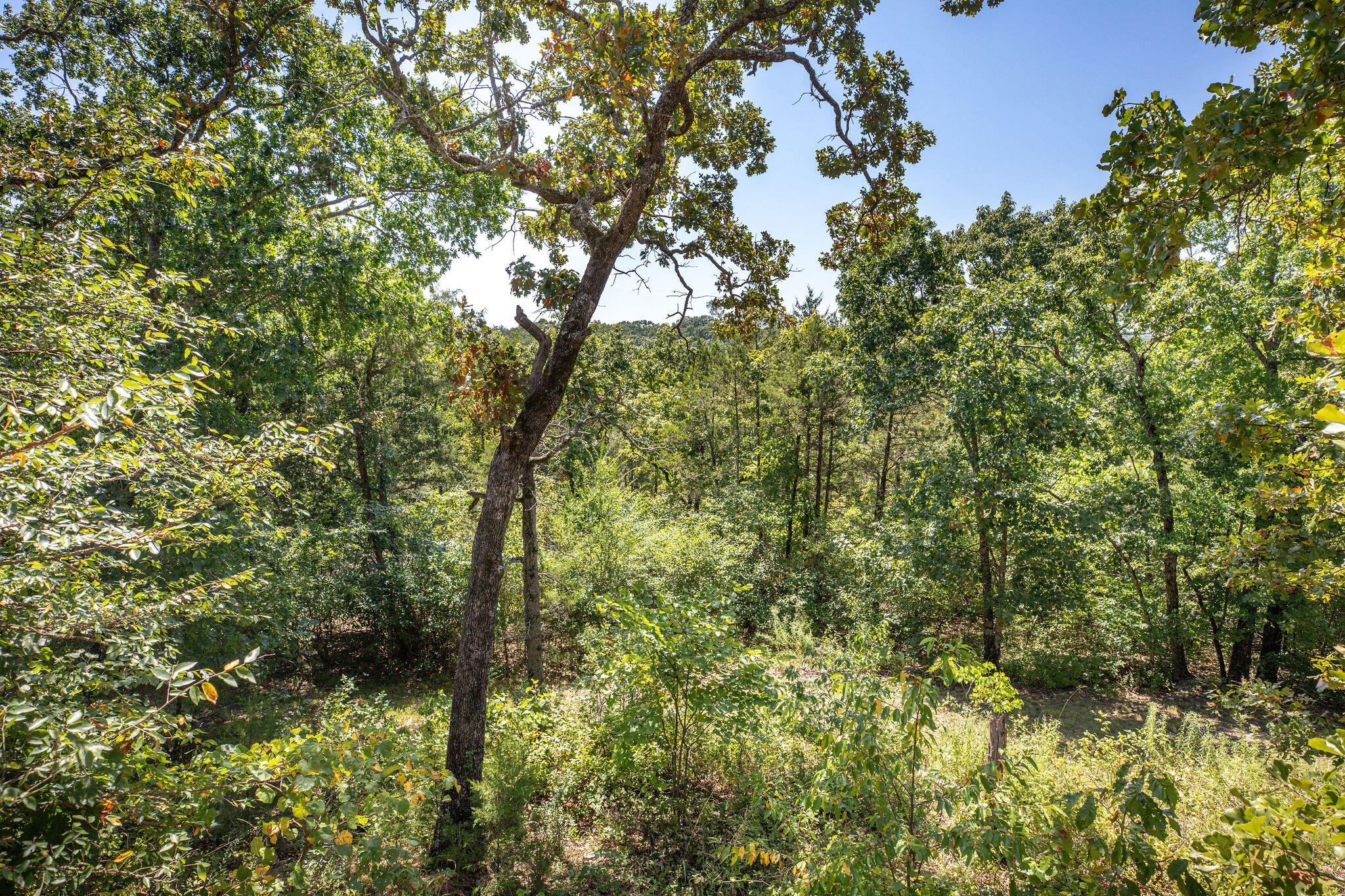 Photo 33 - Residential for sale – 229  Shore Acres Drive  Powersite, MO