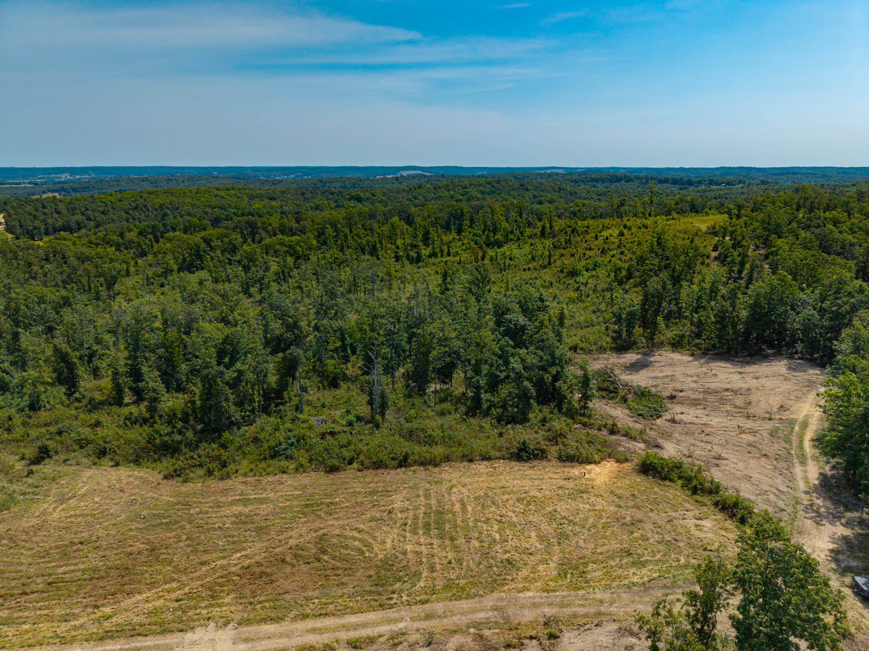 Photo 10 - Land for sale – 000  Berry Road  Cabool, MO