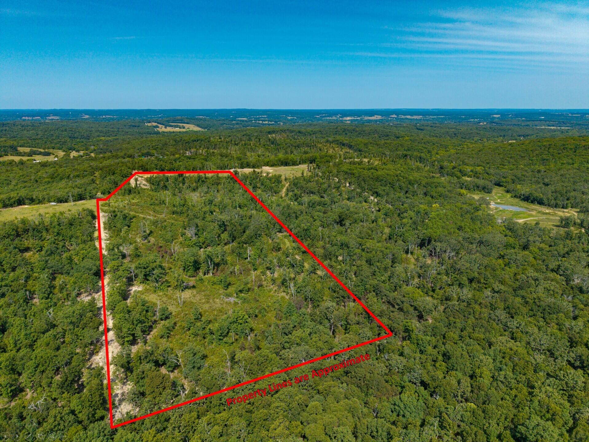 Photo 5 - Land for sale – 000  Berry Road  Cabool, MO