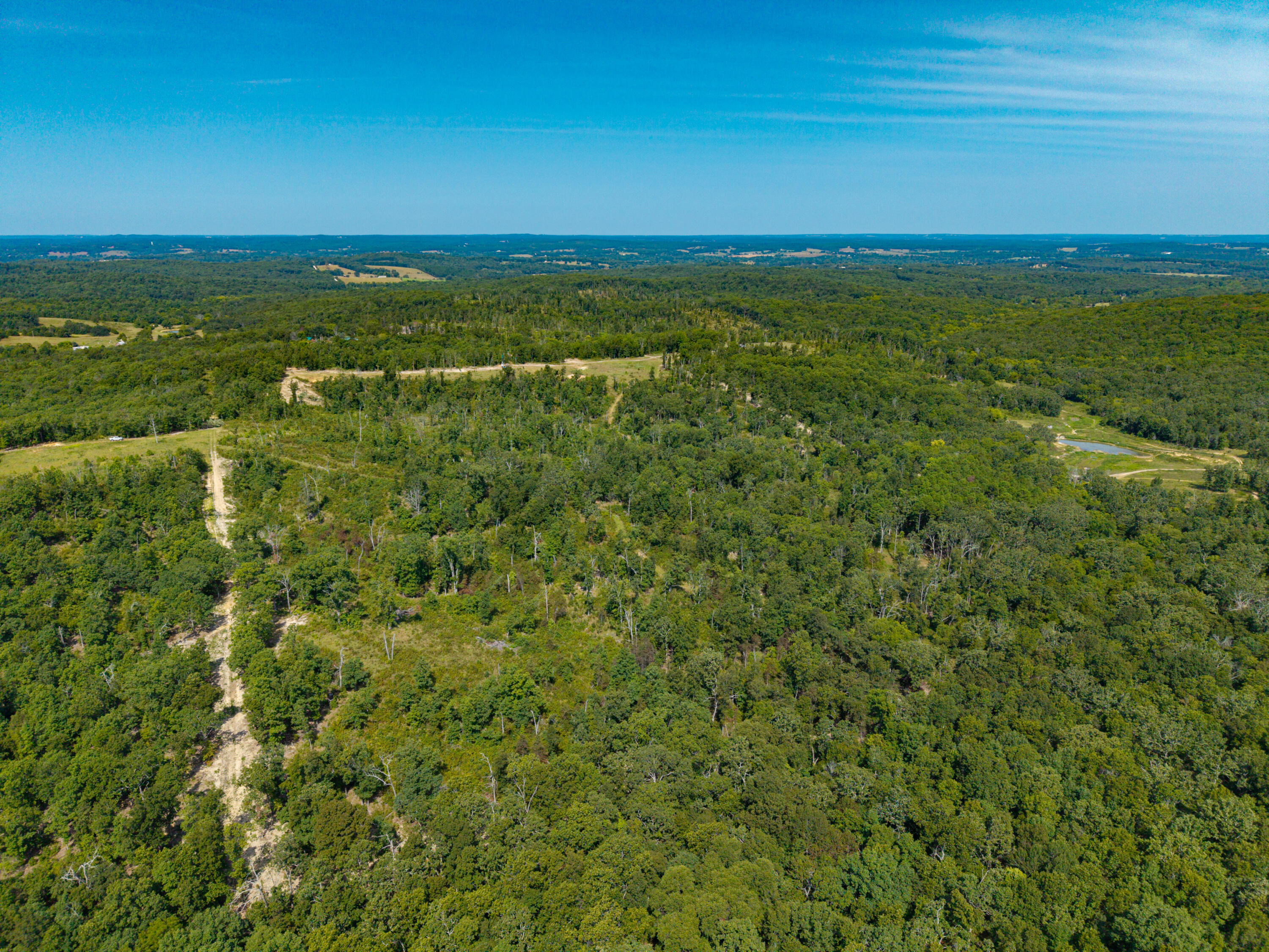 Photo 6 - Land for sale – 000  Berry Road  Cabool, MO