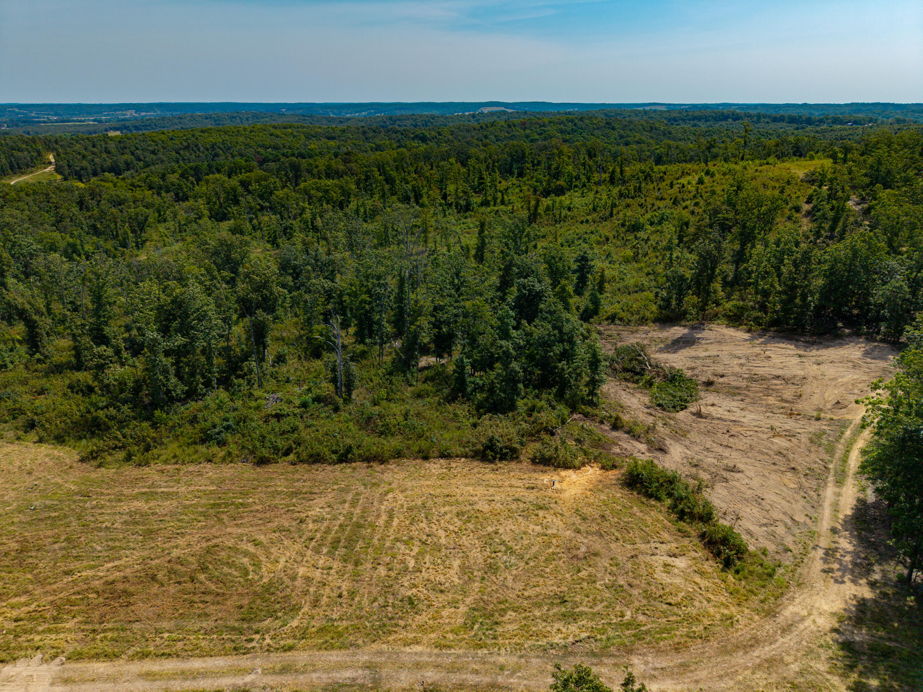Photo 8 - Land for sale – 000  Berry Road  Cabool, MO