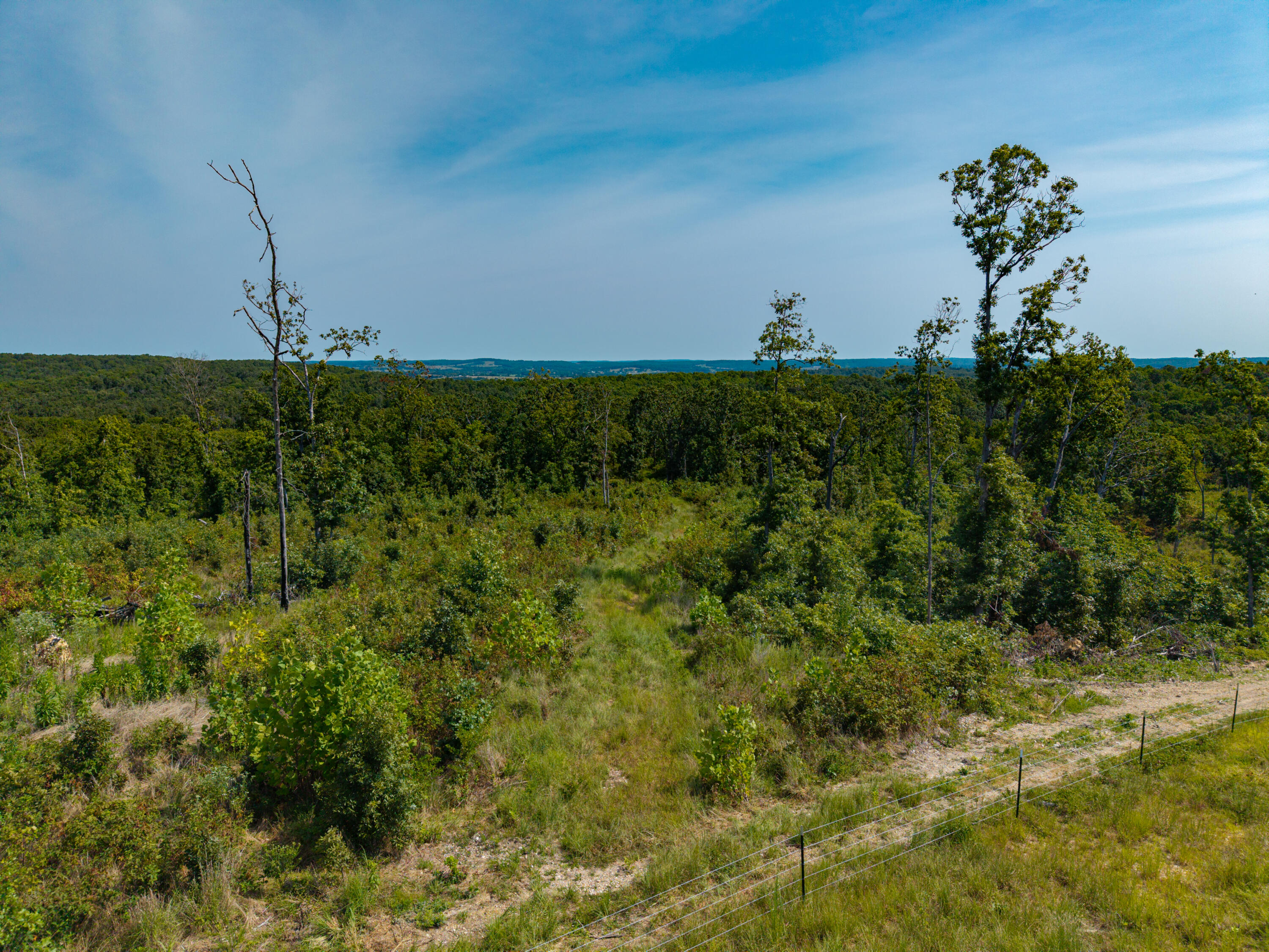 Photo 12 - Land for sale – 000  Berry Road  Cabool, MO
