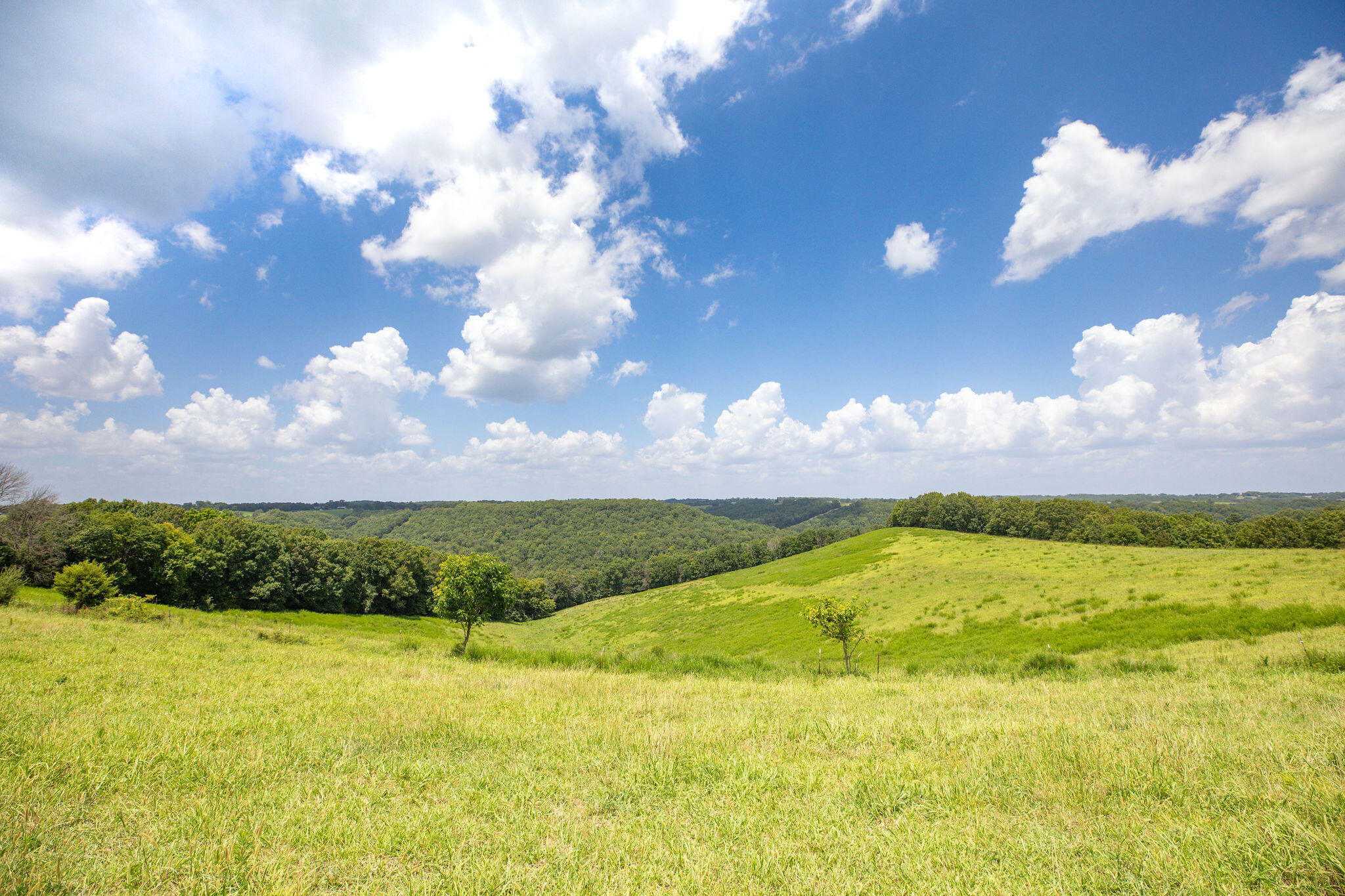 Photo 7 - Land for sale – Tbd  Dewdrop Road  Blue Eye, MO