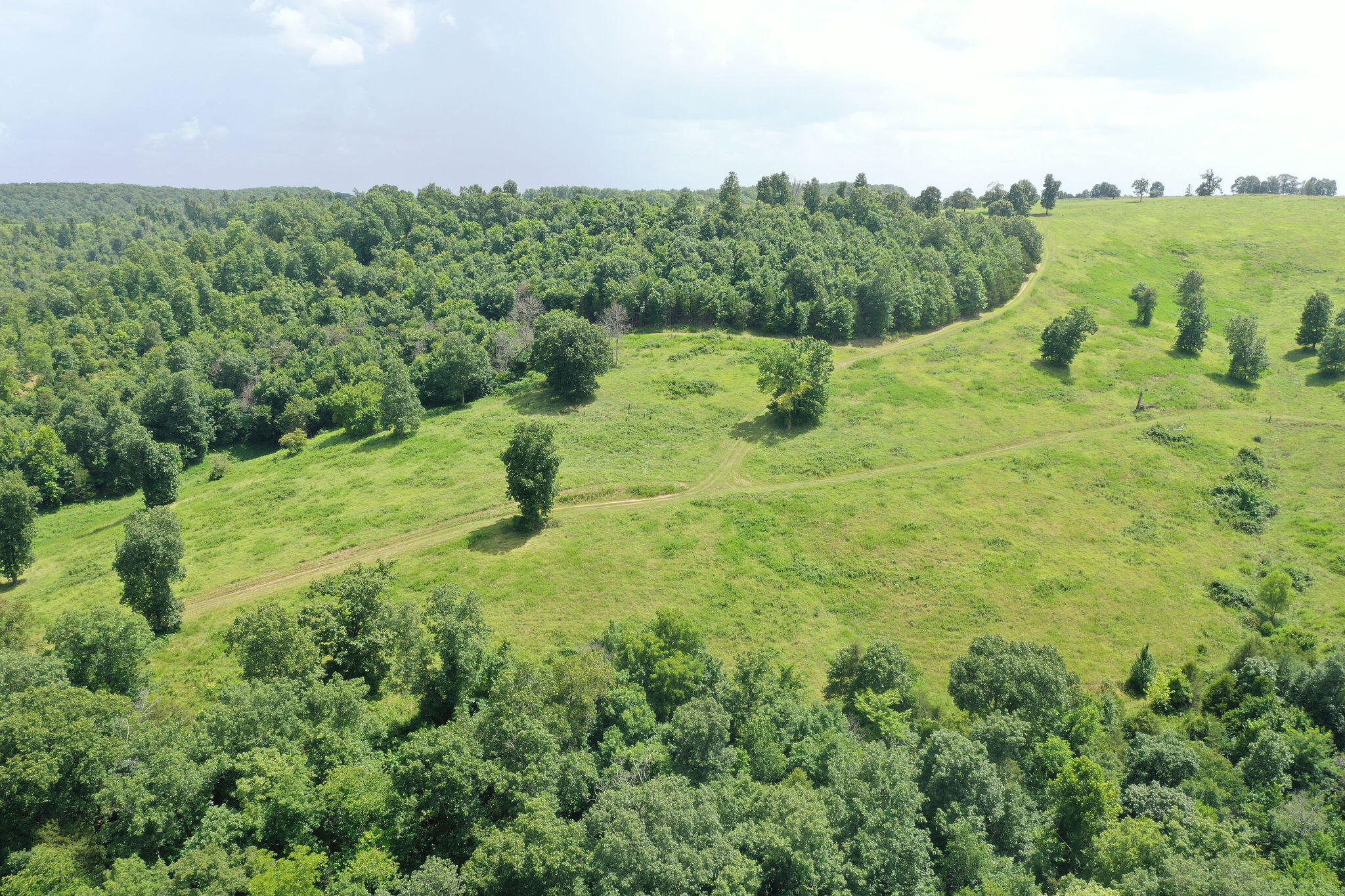 Photo 42 - Land for sale – Tbd  Dewdrop Road  Blue Eye, MO