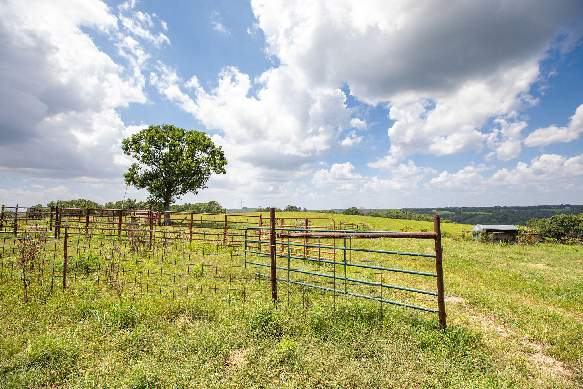 Photo 9 - Land for sale – Tbd  Dewdrop Road  Blue Eye, MO