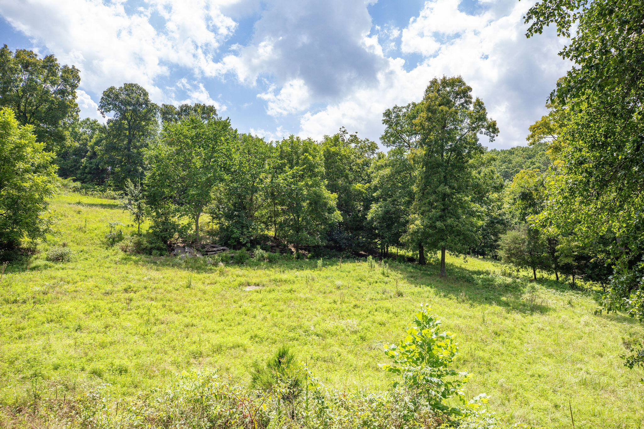 Photo 19 - Land for sale – Tbd  Dewdrop Road  Blue Eye, MO