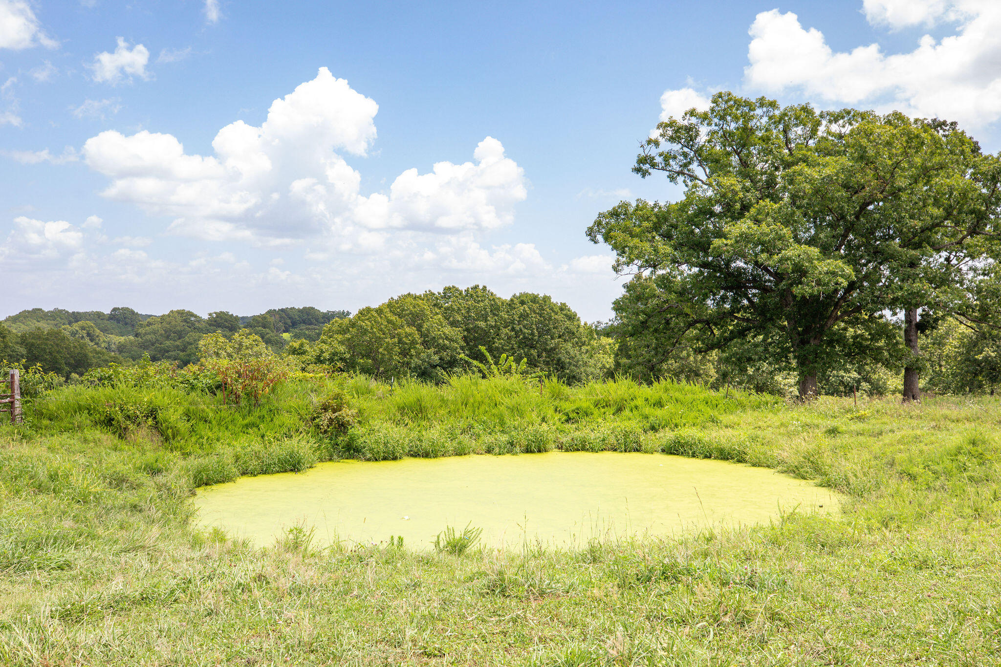 Photo 4 - Land for sale – Tbd  Dewdrop Road  Blue Eye, MO