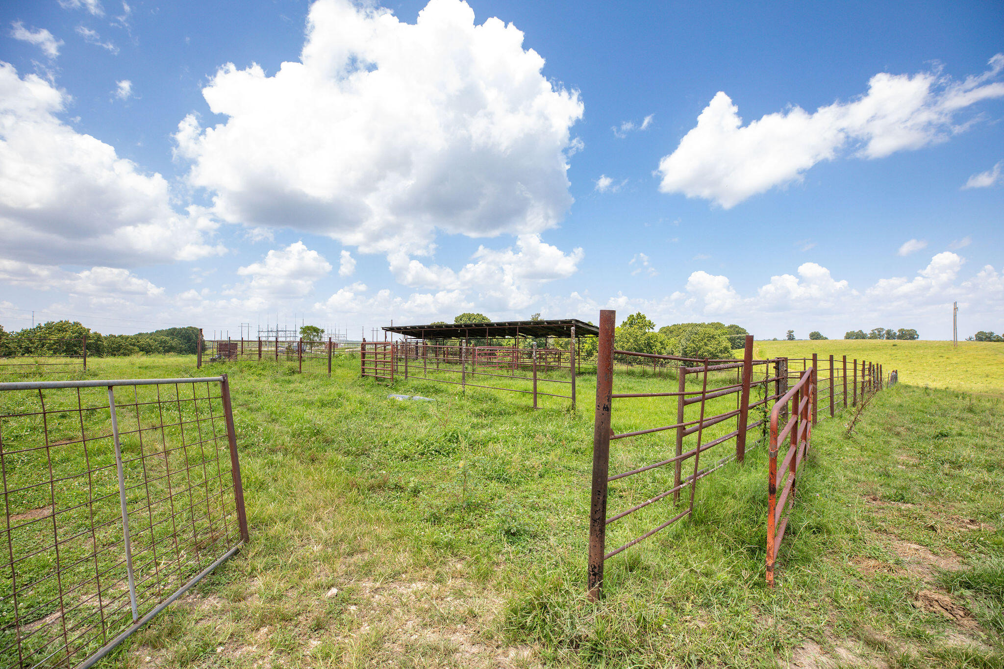 Photo 3 - Land for sale – Tbd  Dewdrop Road  Blue Eye, MO