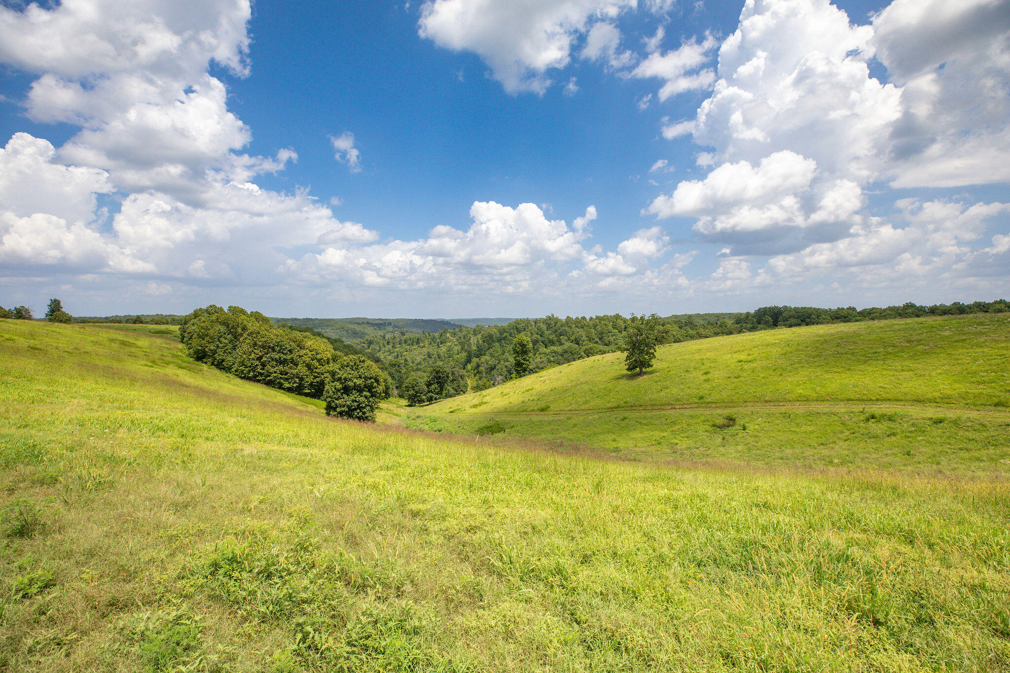 Photo 15 - Land for sale – Tbd  Dewdrop Road  Blue Eye, MO