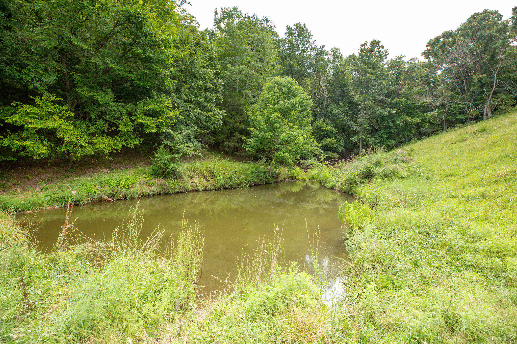 Photo 11 - Land for sale – Tbd  Dewdrop Road  Blue Eye, MO