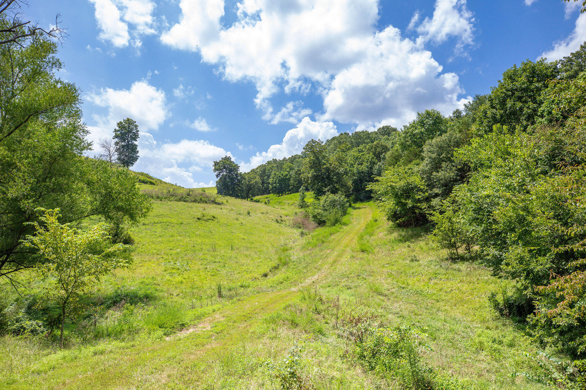 Photo 14 - Land for sale – Tbd  Dewdrop Road  Blue Eye, MO
