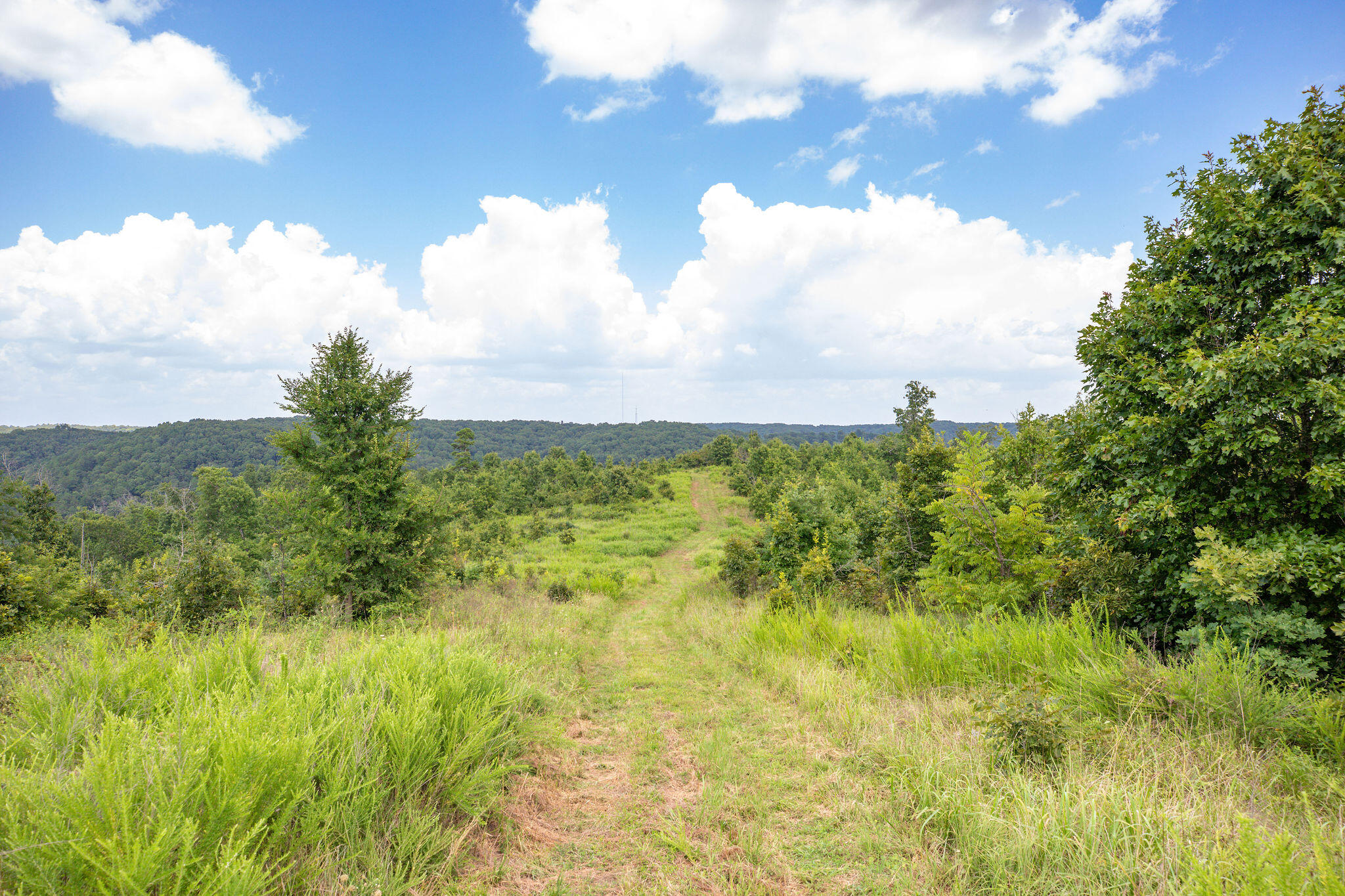 Photo 13 - Land for sale – Tbd  Dewdrop Road  Blue Eye, MO