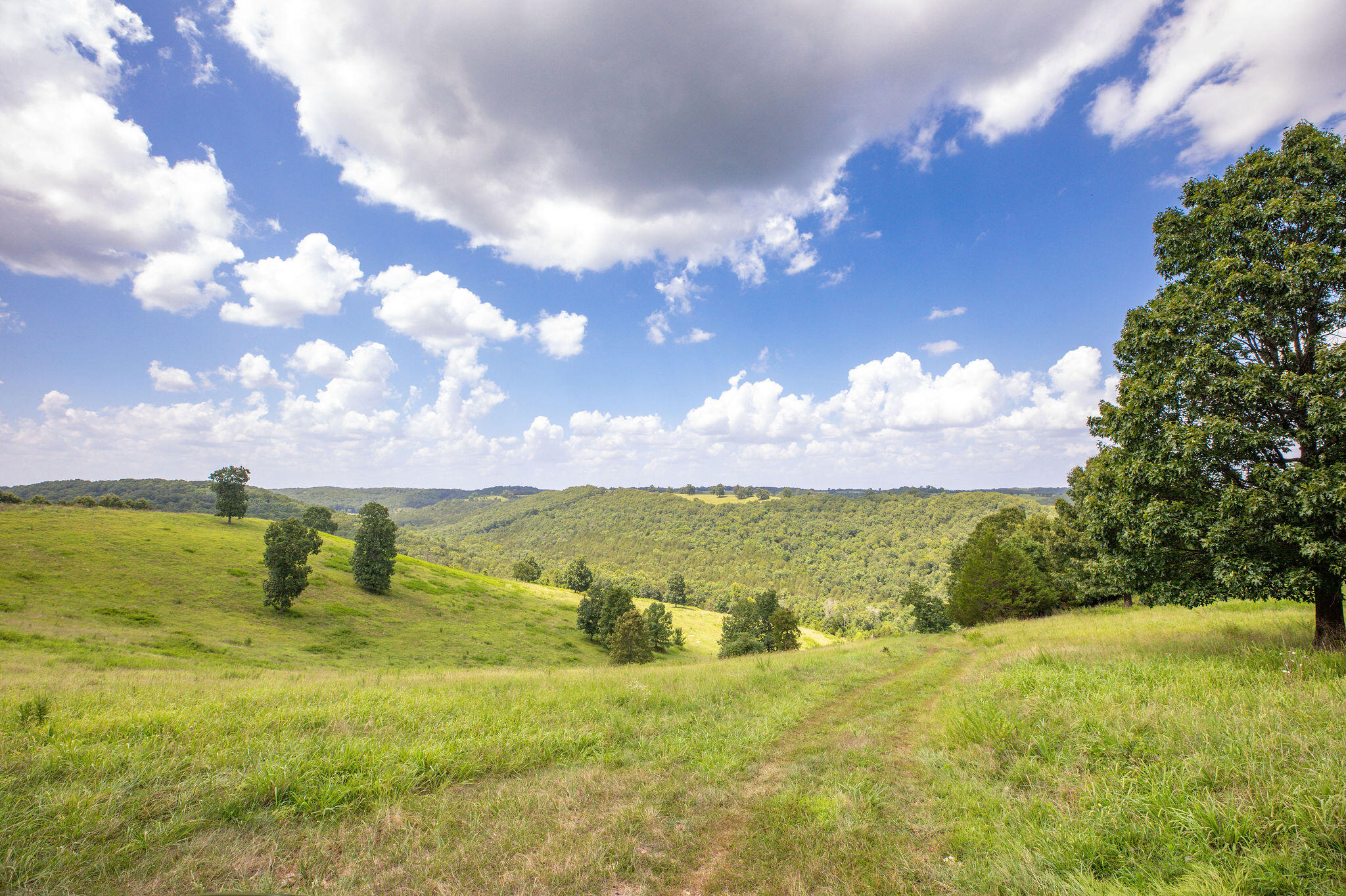 Photo 16 - Land for sale – Tbd  Dewdrop Road  Blue Eye, MO