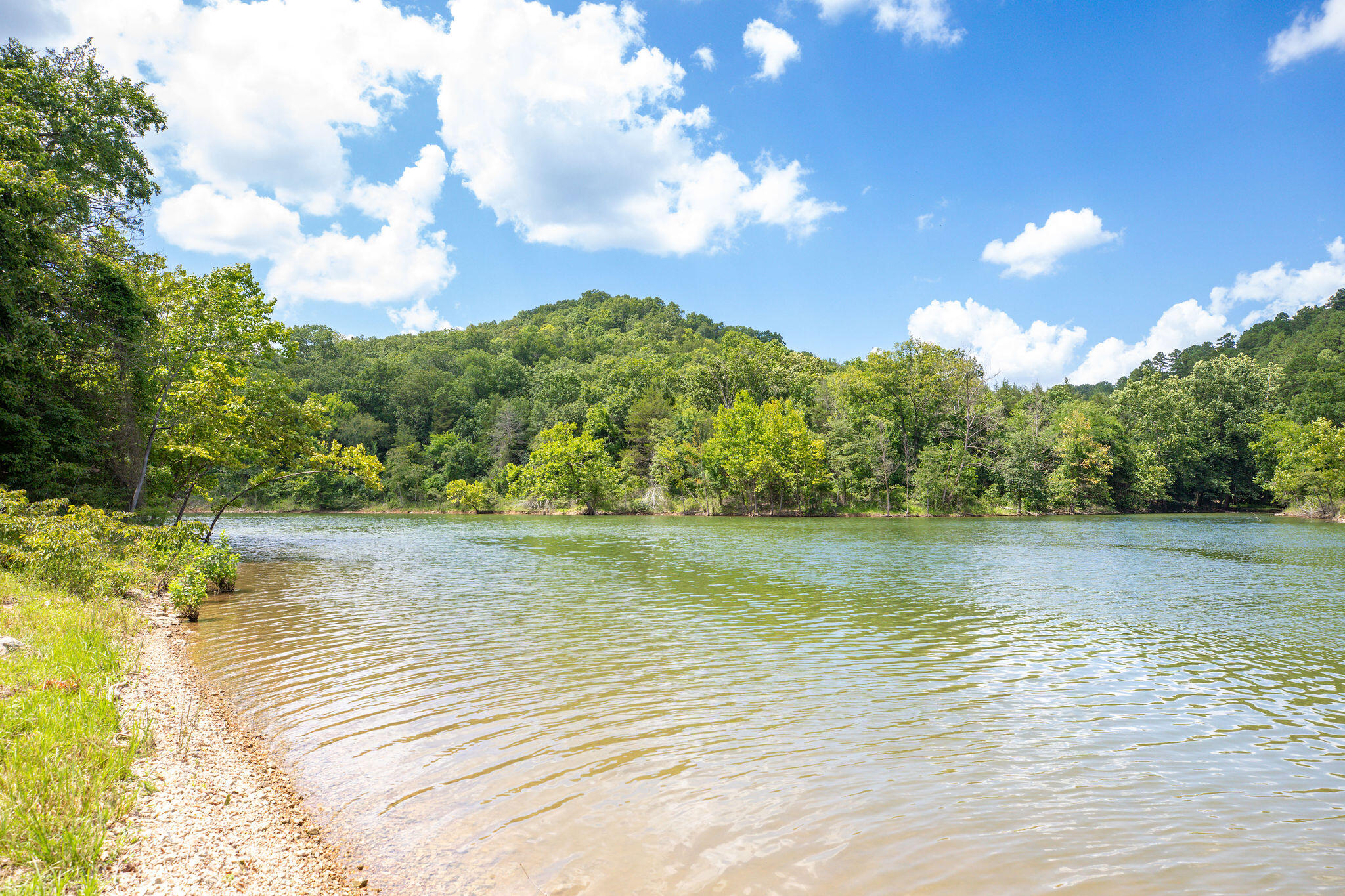 Photo 17 - Land for sale – Tbd  Dewdrop Road  Blue Eye, MO