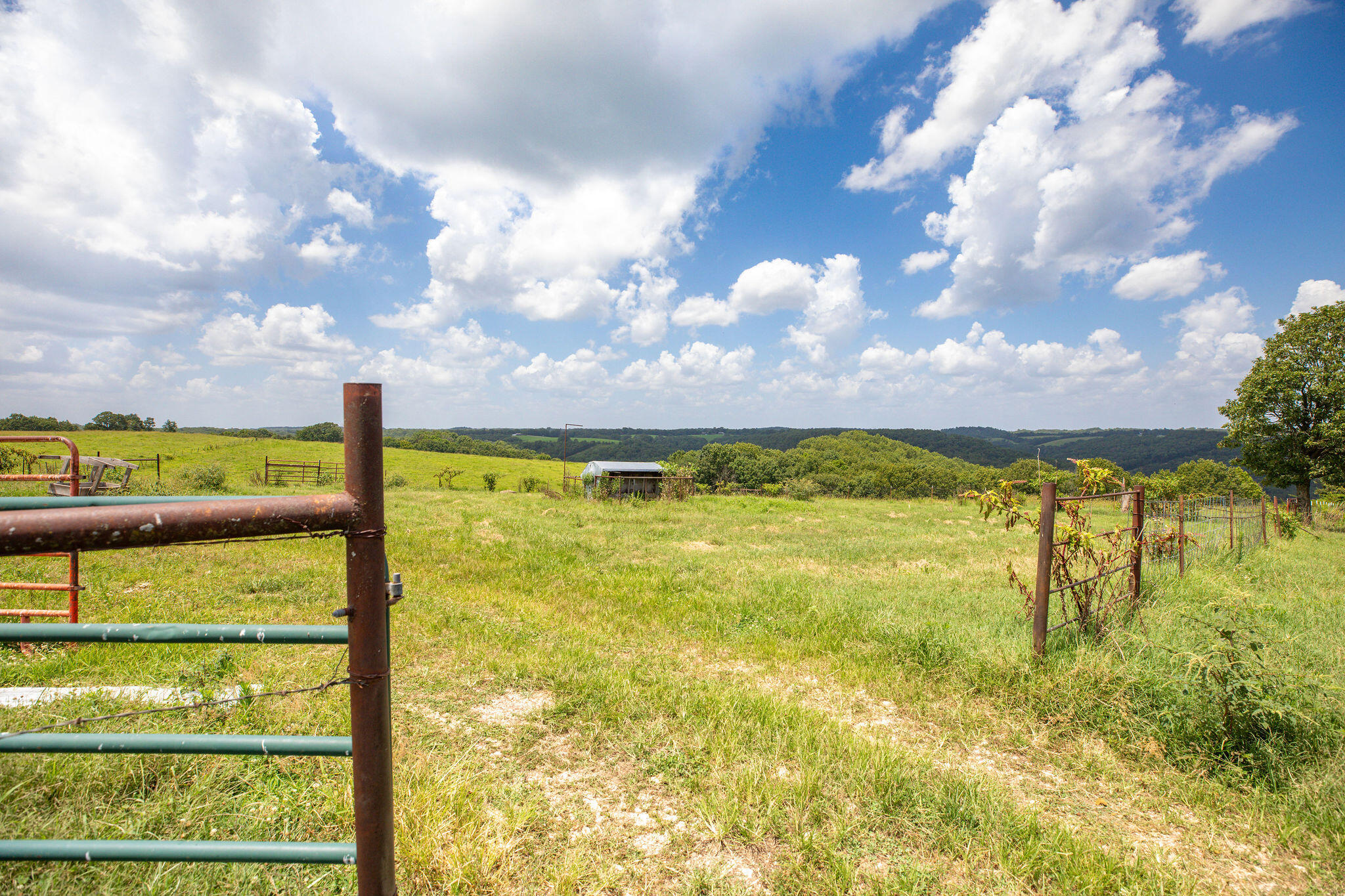 Photo 8 - Land for sale – Tbd  Dewdrop Road  Blue Eye, MO