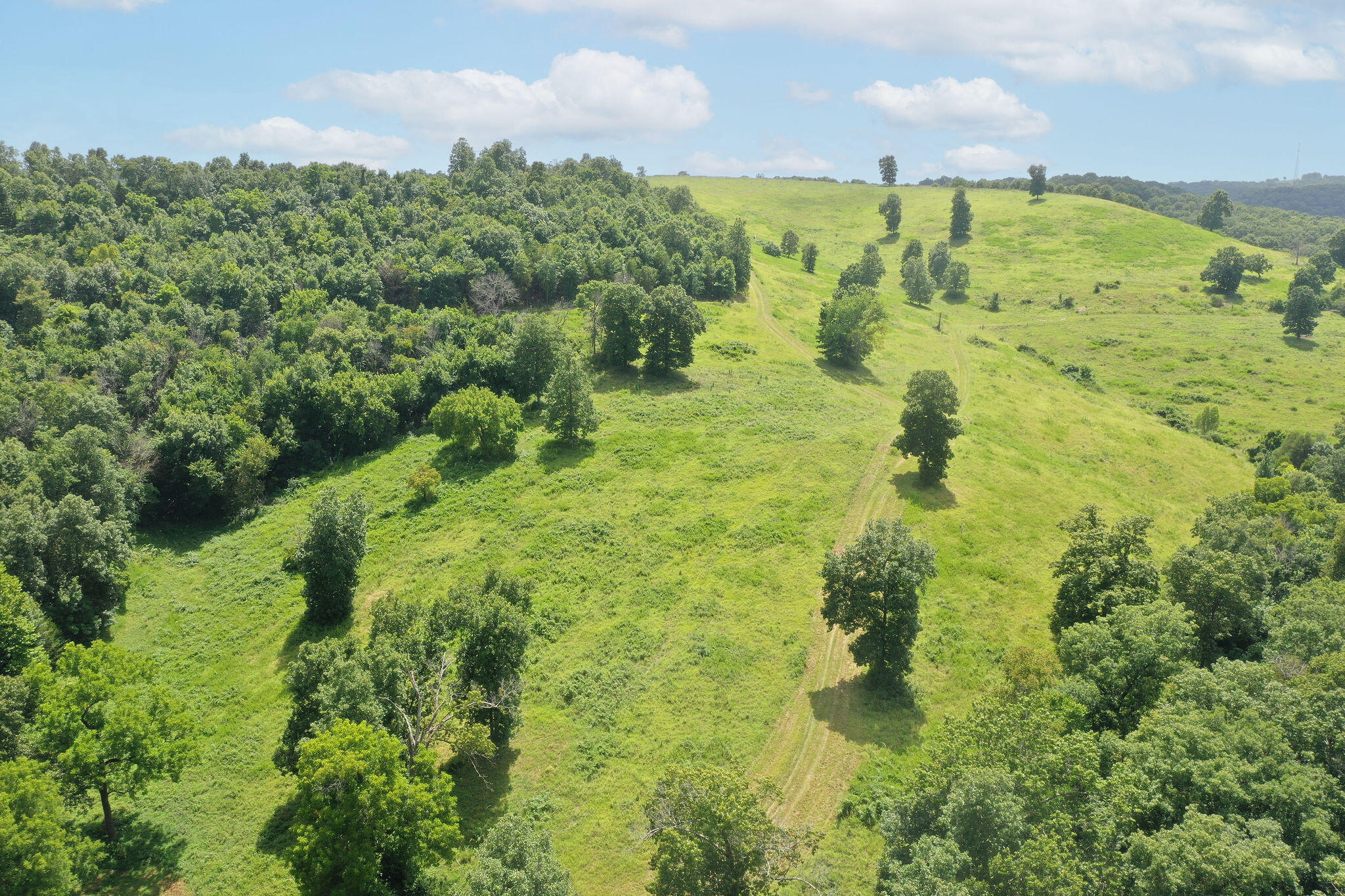Photo 41 - Land for sale – Tbd  Dewdrop Road  Blue Eye, MO