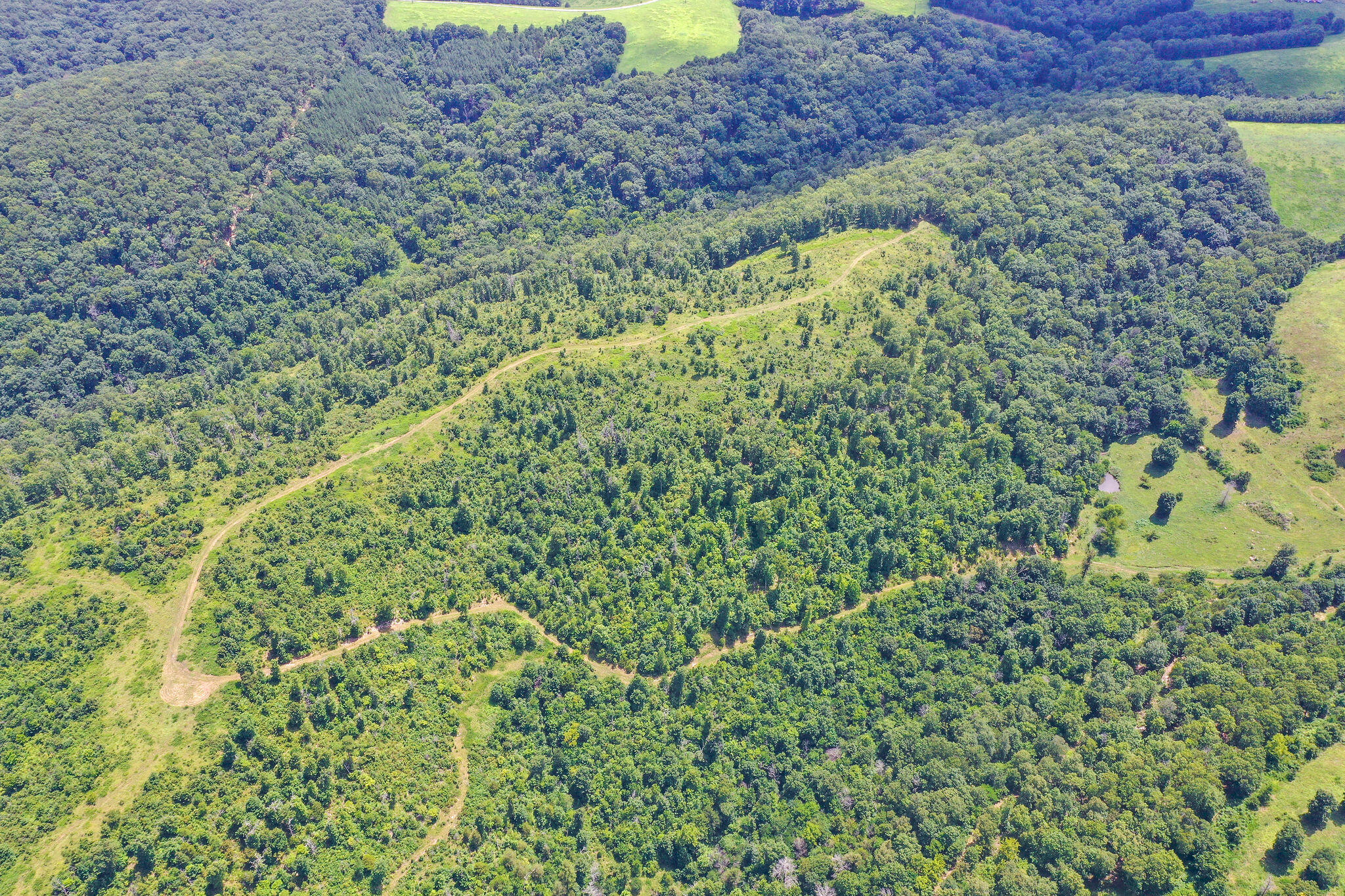Photo 33 - Land for sale – Tbd  Dewdrop Road  Blue Eye, MO