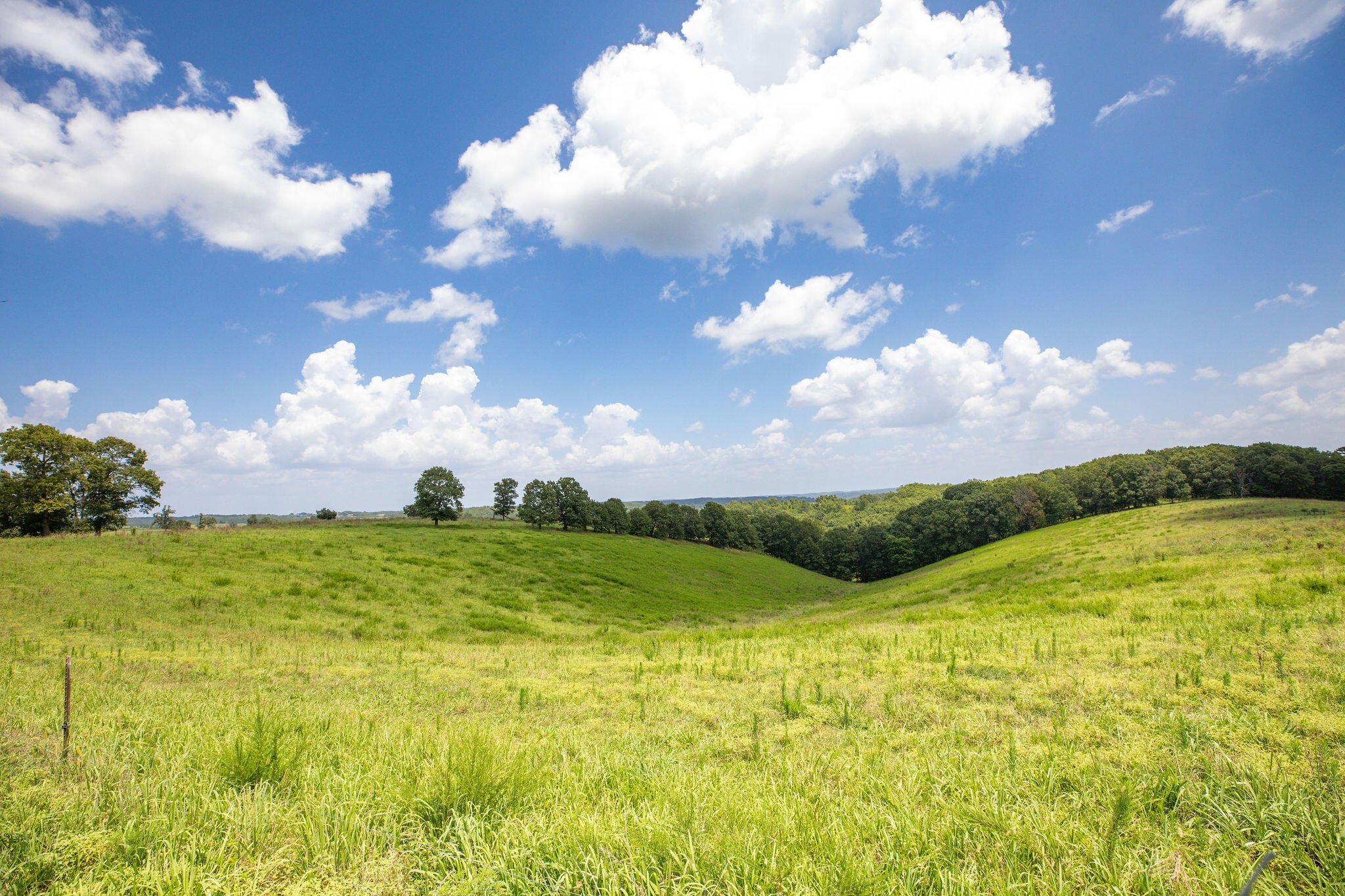 Photo 5 - Land for sale – Tbd  Dewdrop Road  Blue Eye, MO