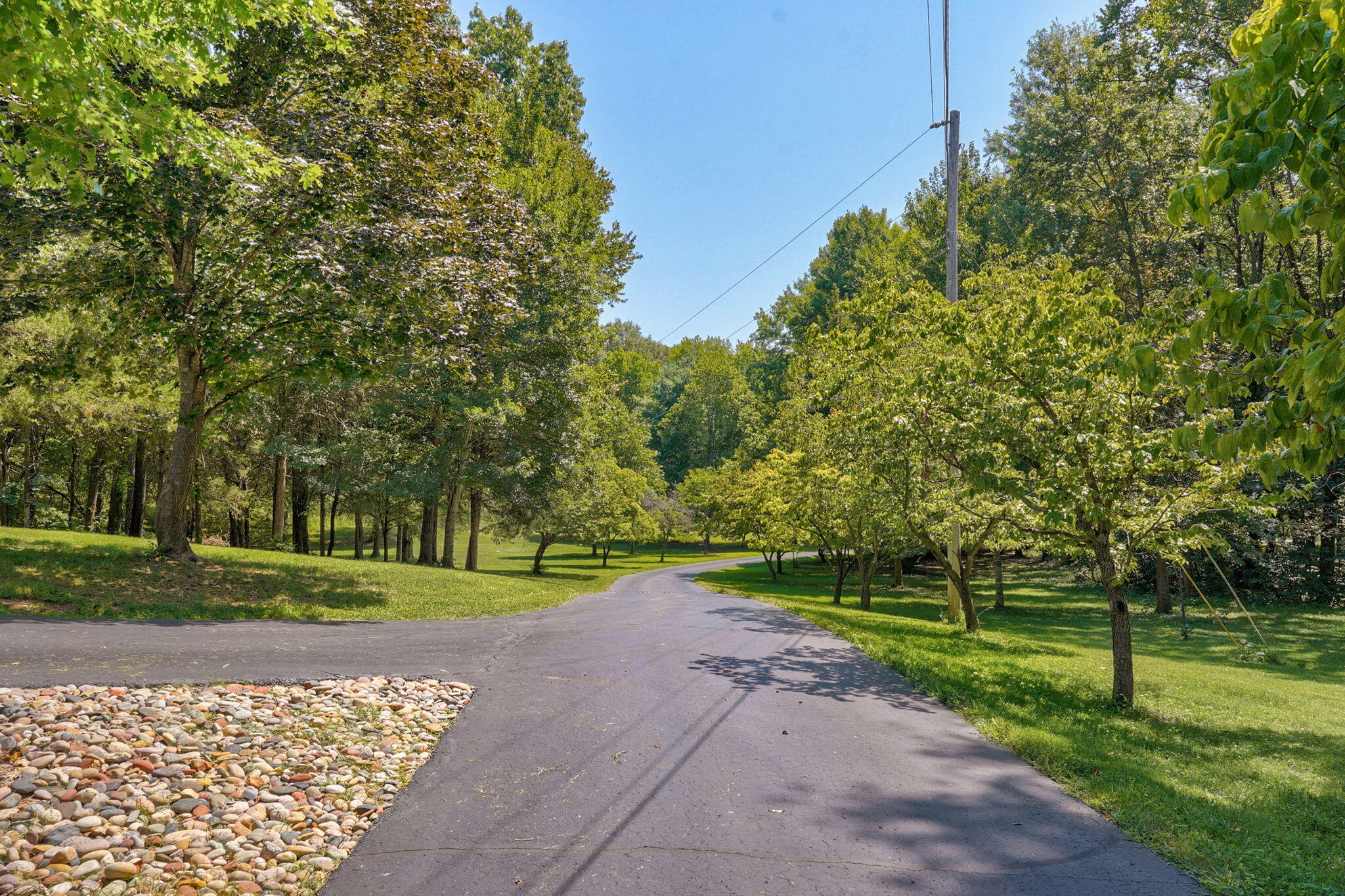 Photo 8 - Residential for sale – 5455 S Farm Road 137   Springfield, MO