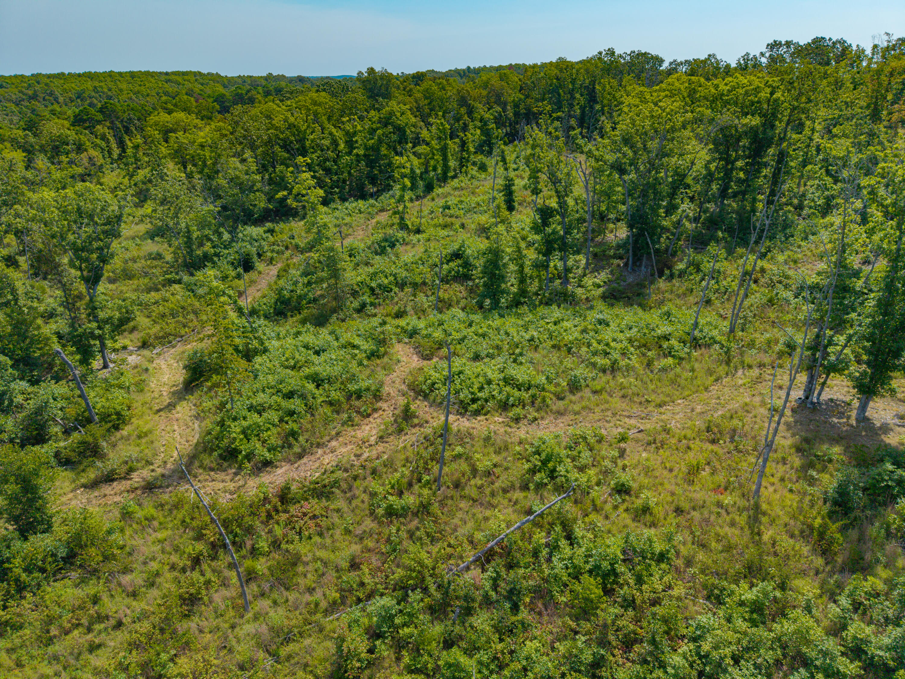 Photo 10 - Land for sale – 000  Berry Road  Cabool, MO