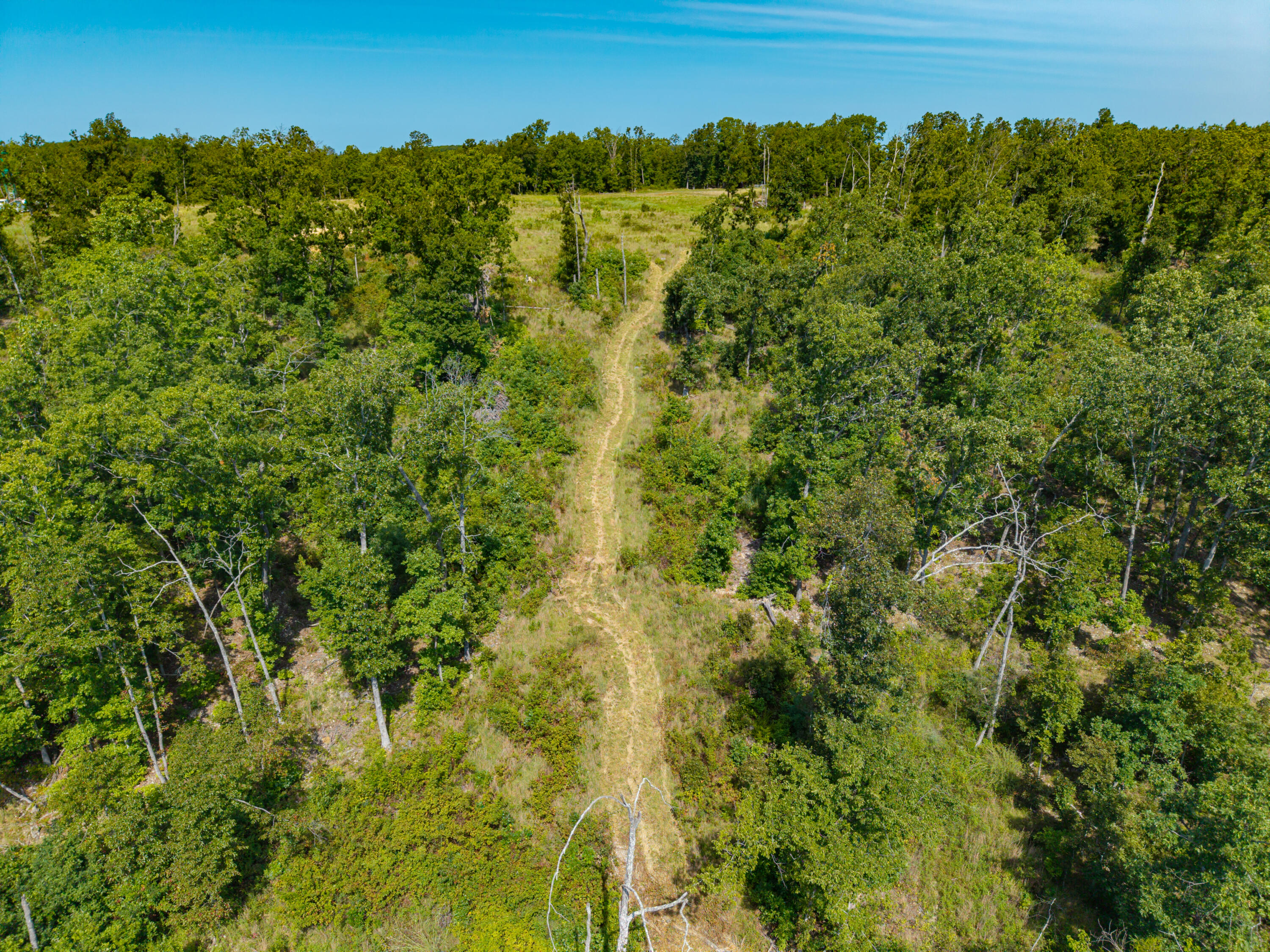 Photo 11 - Land for sale – 000  Berry Road  Cabool, MO