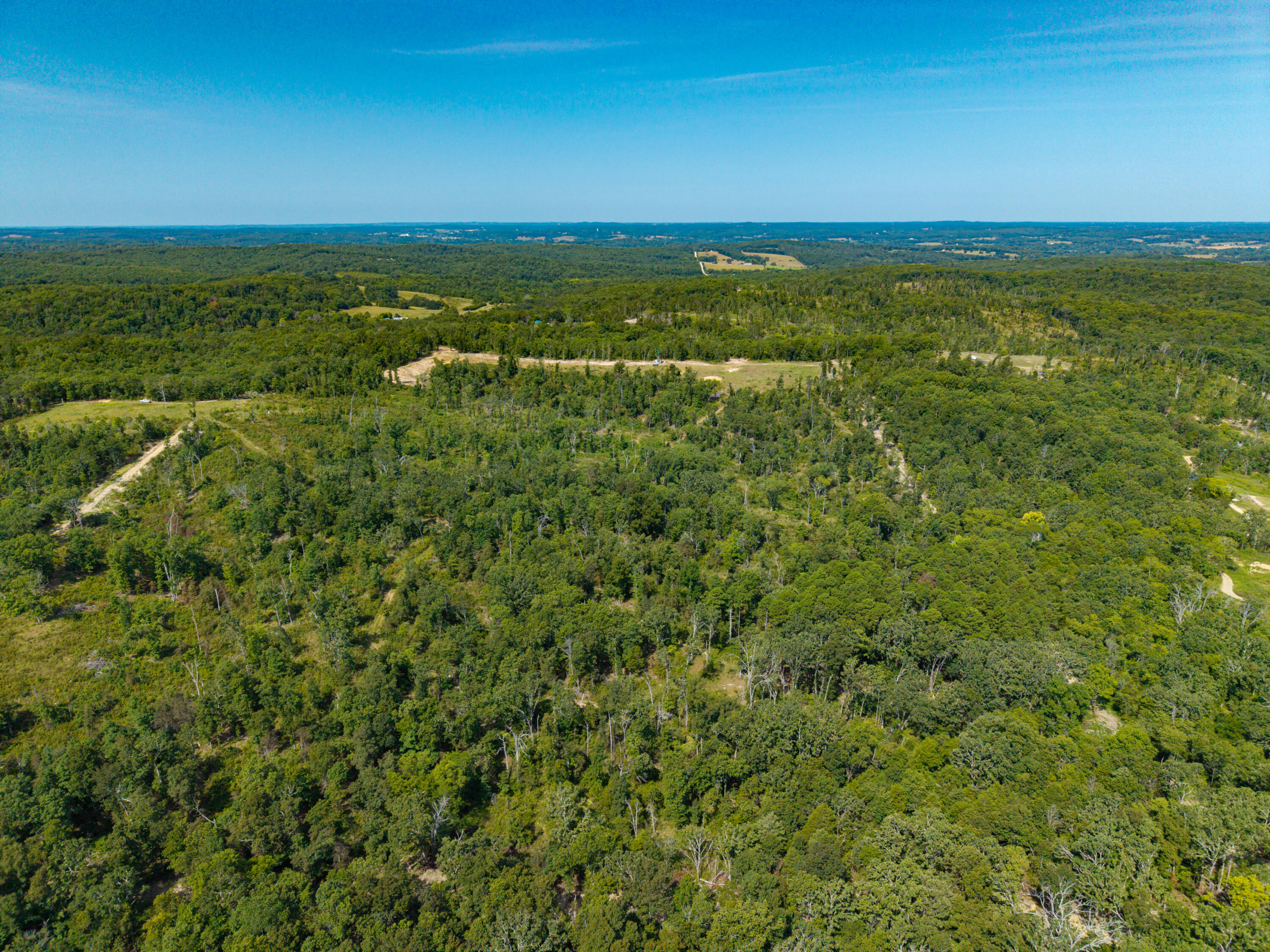 Photo 13 - Land for sale – 000  Berry Road  Cabool, MO