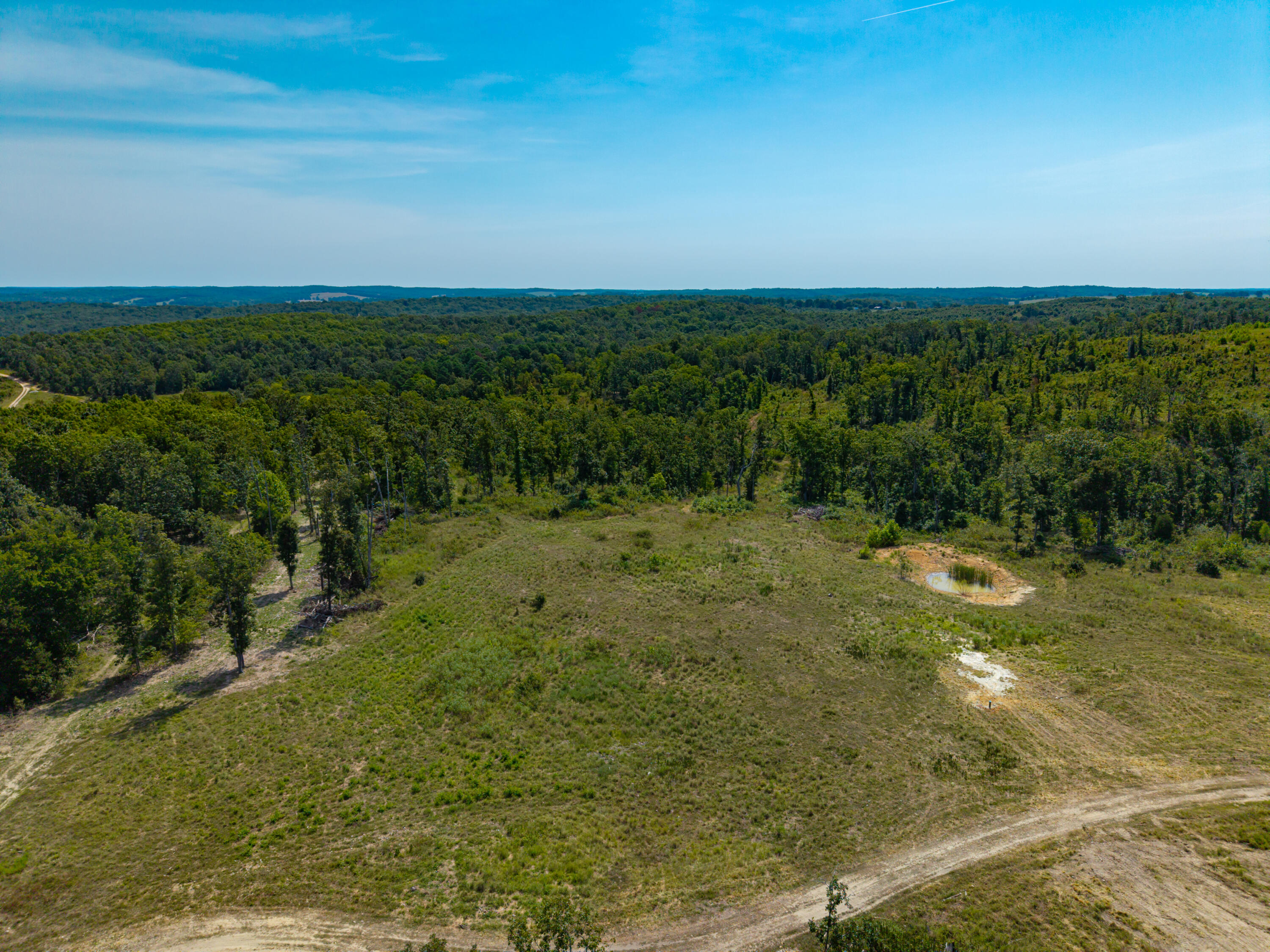 Photo 5 - Land for sale – 000  Berry Road  Cabool, MO