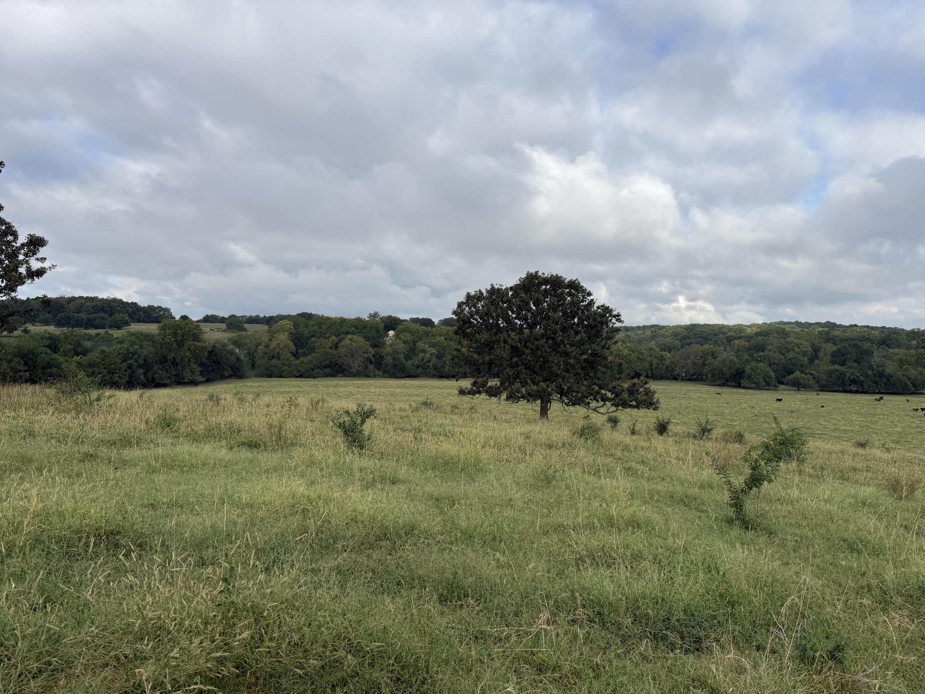 Land for sale – Tract 2 S Farm Road 55   Republic, MO