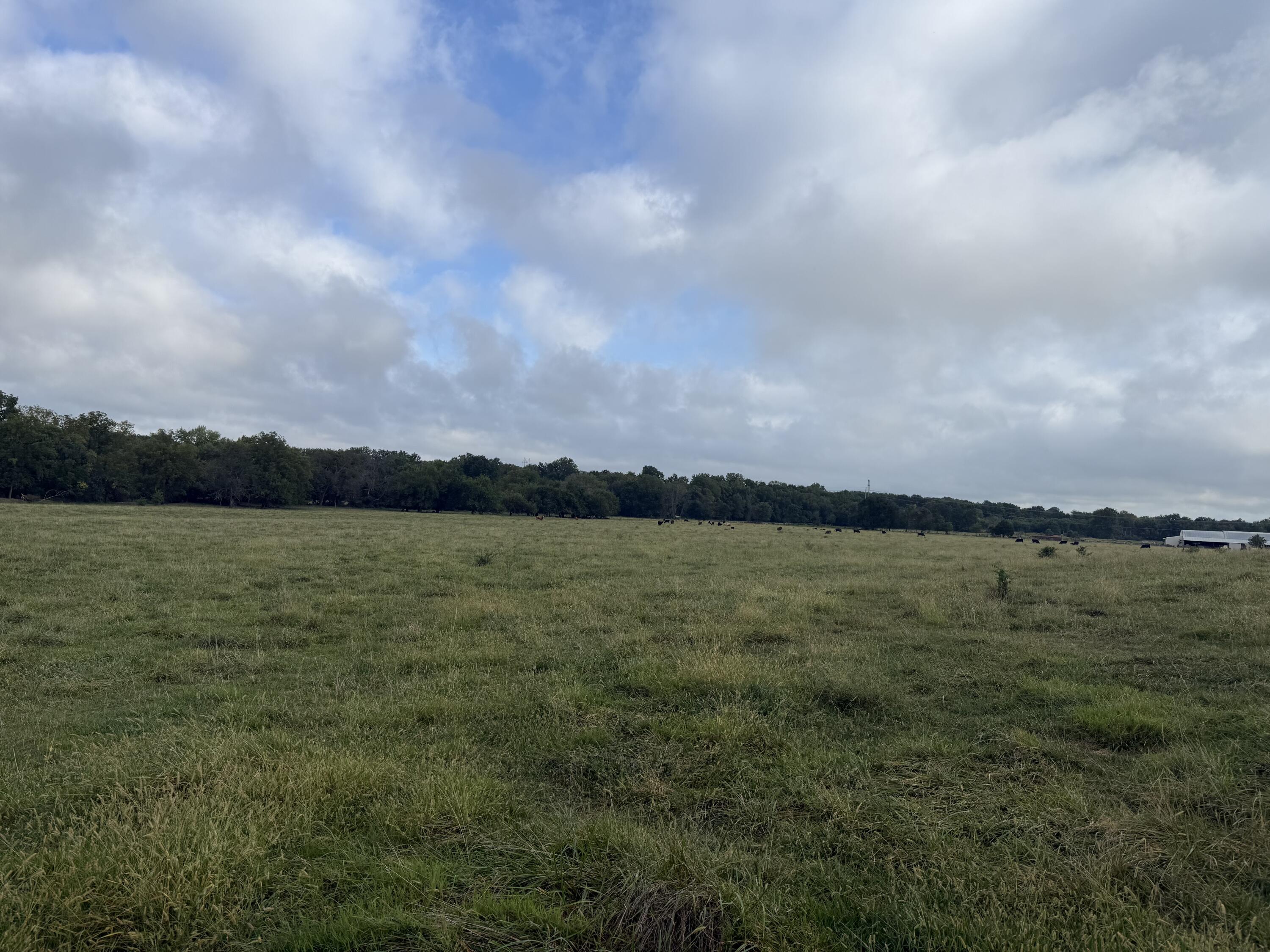 Photo 2 - Land for sale – Tract 2 S Farm Road 55   Republic, MO